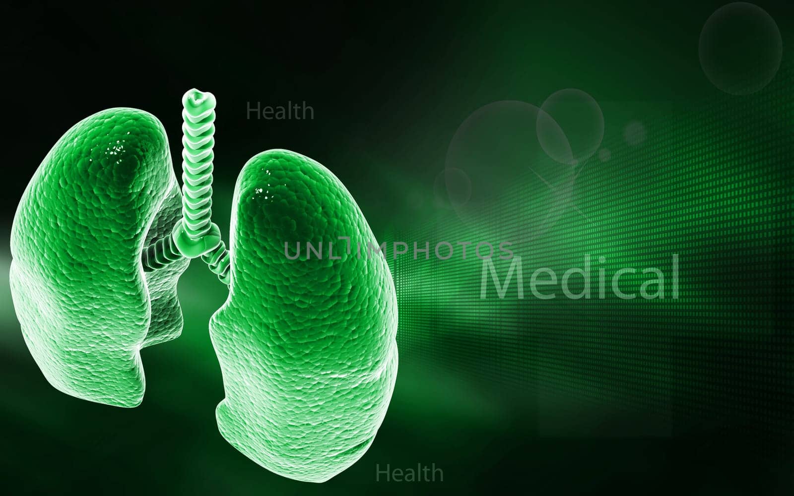 Digital illustration of human lungs in colour background
