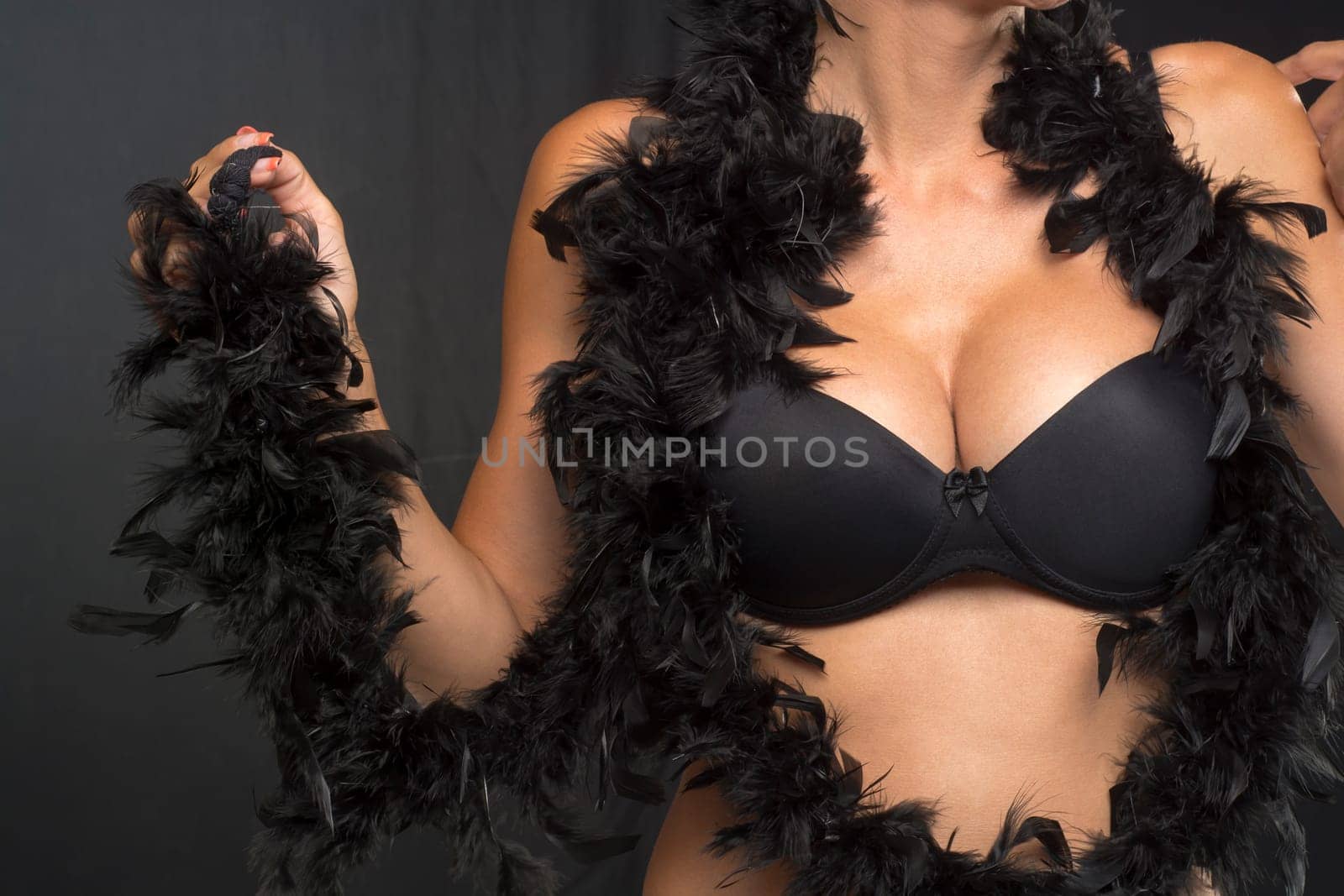 Big Breasts Lady In Sexy Corset Underwear and black feathers