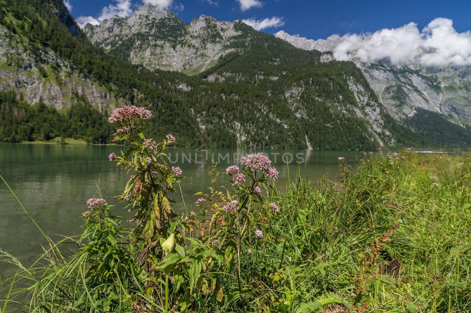 Königssee