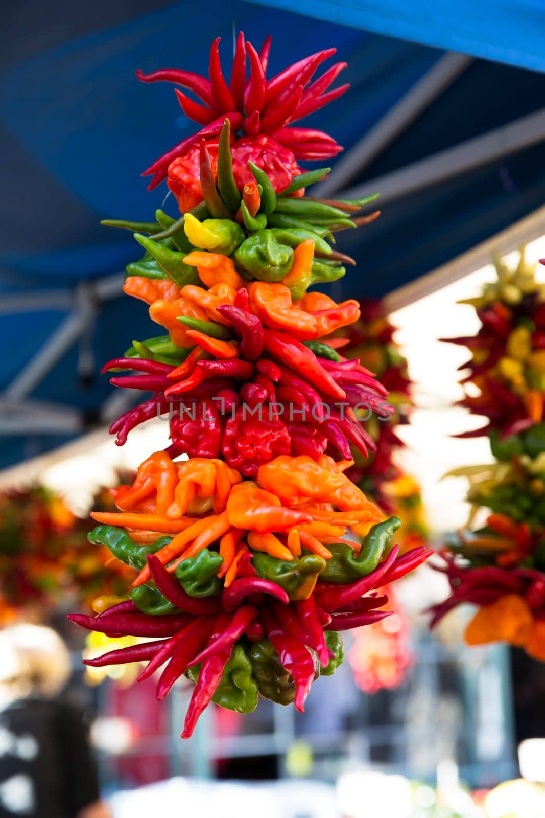 String of colorful hot and sweet peppers hanging at a market