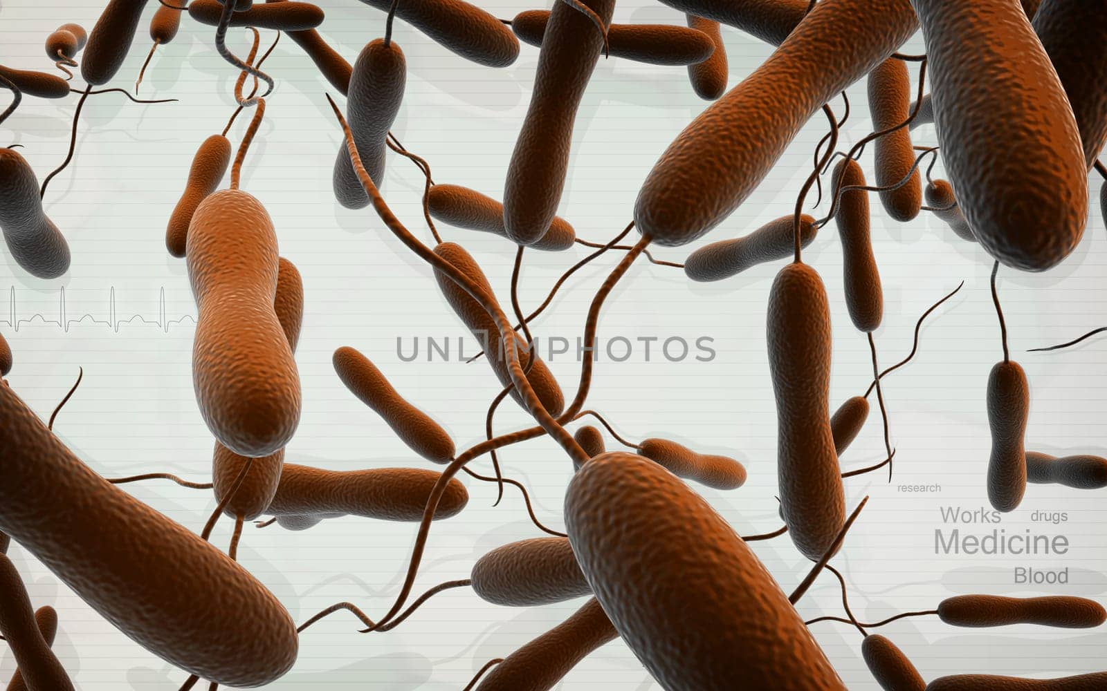 Digital illustration of cholera bacteria in colour background