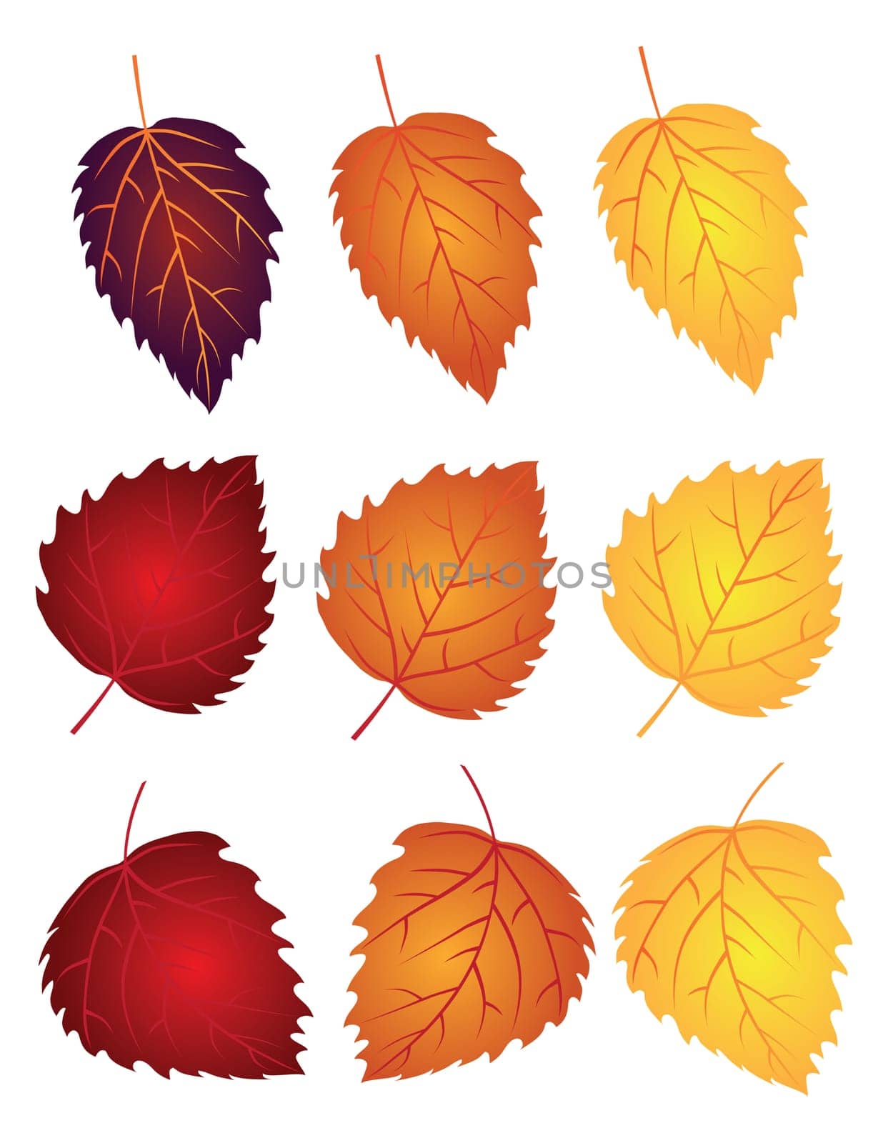 Birch Tree Leaves in Changing Fall Colors Isolated on White Background Illustration