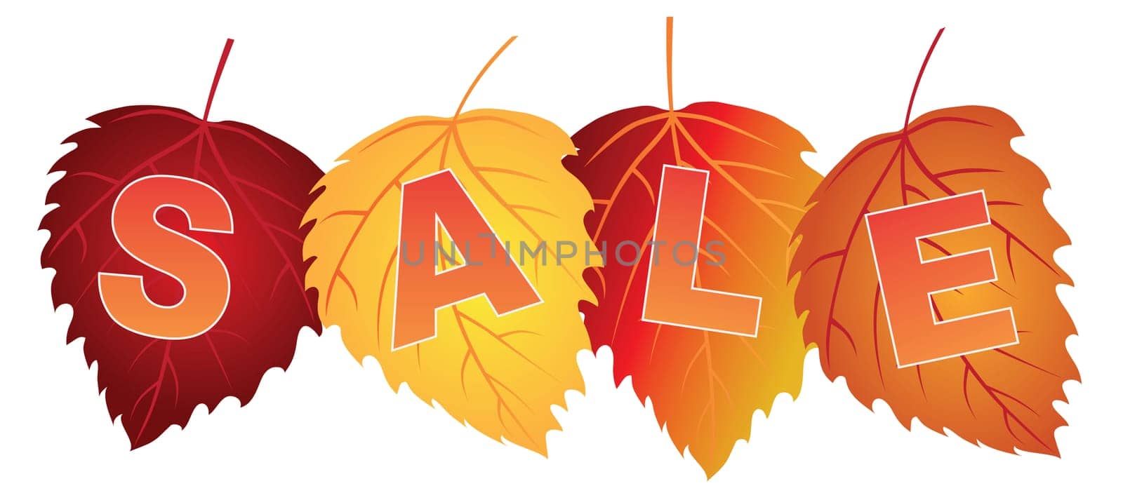 Sale Text on Fall Colors Birch Leaves for Store Sign Illustration