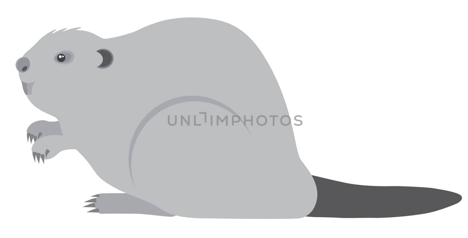 The North American Beaver Grayscale Illustration