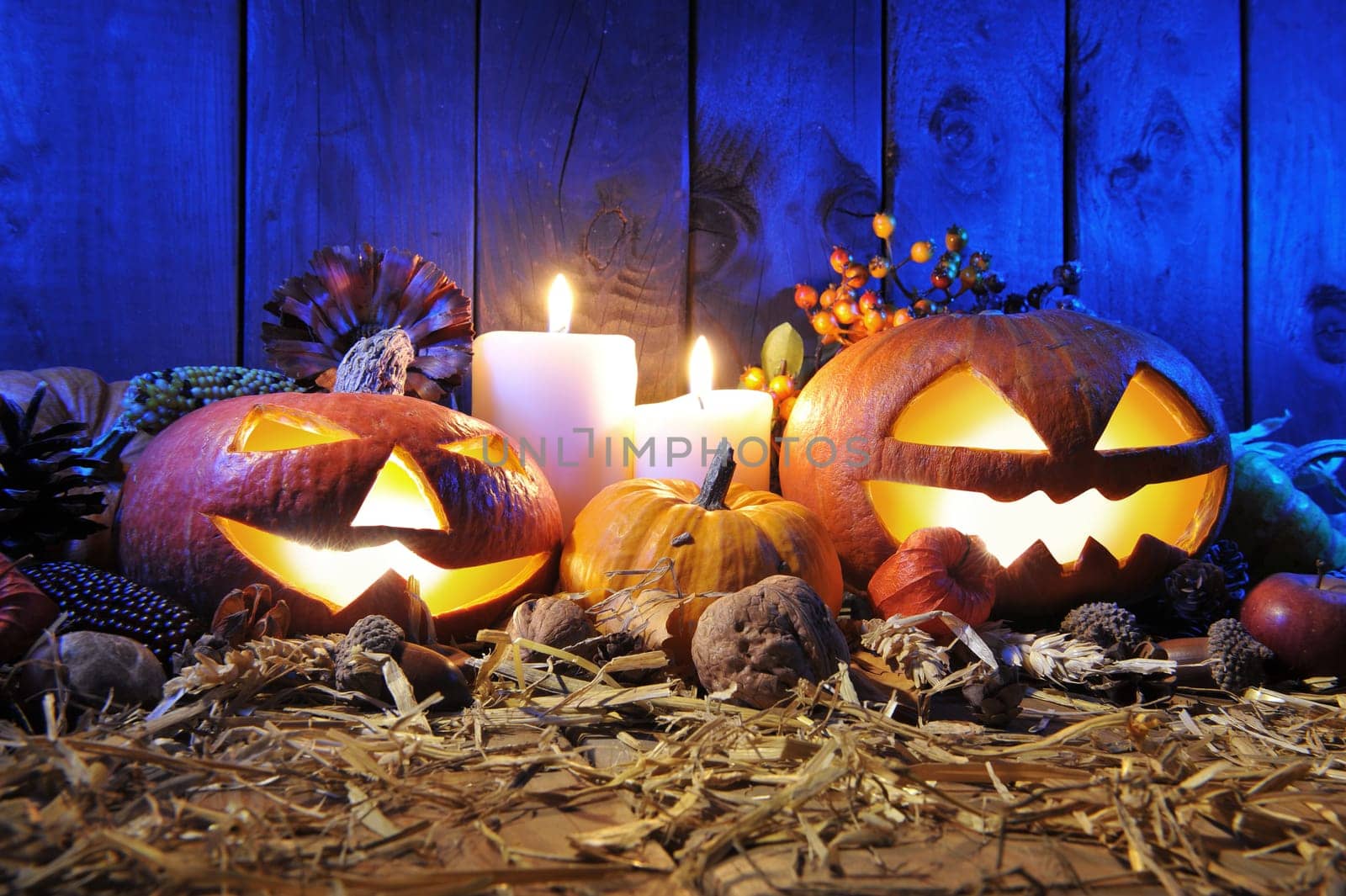 illuminated Halloween pumpkins,candles,nuts,corn cobs and apple on straw in front of old weathered wooden boards in the blue evening light