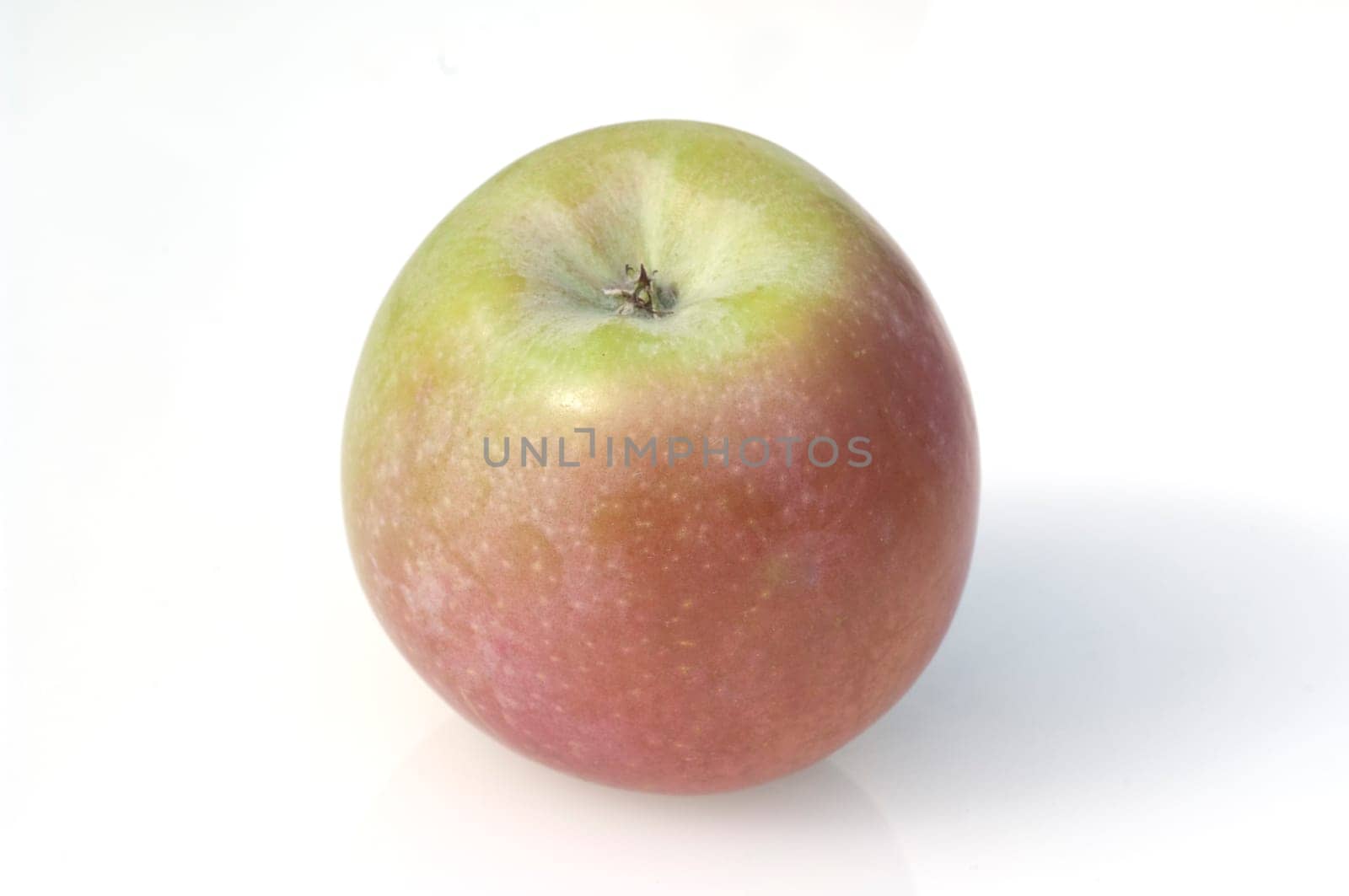 Pink Lady, Apfel, Malus, domestica