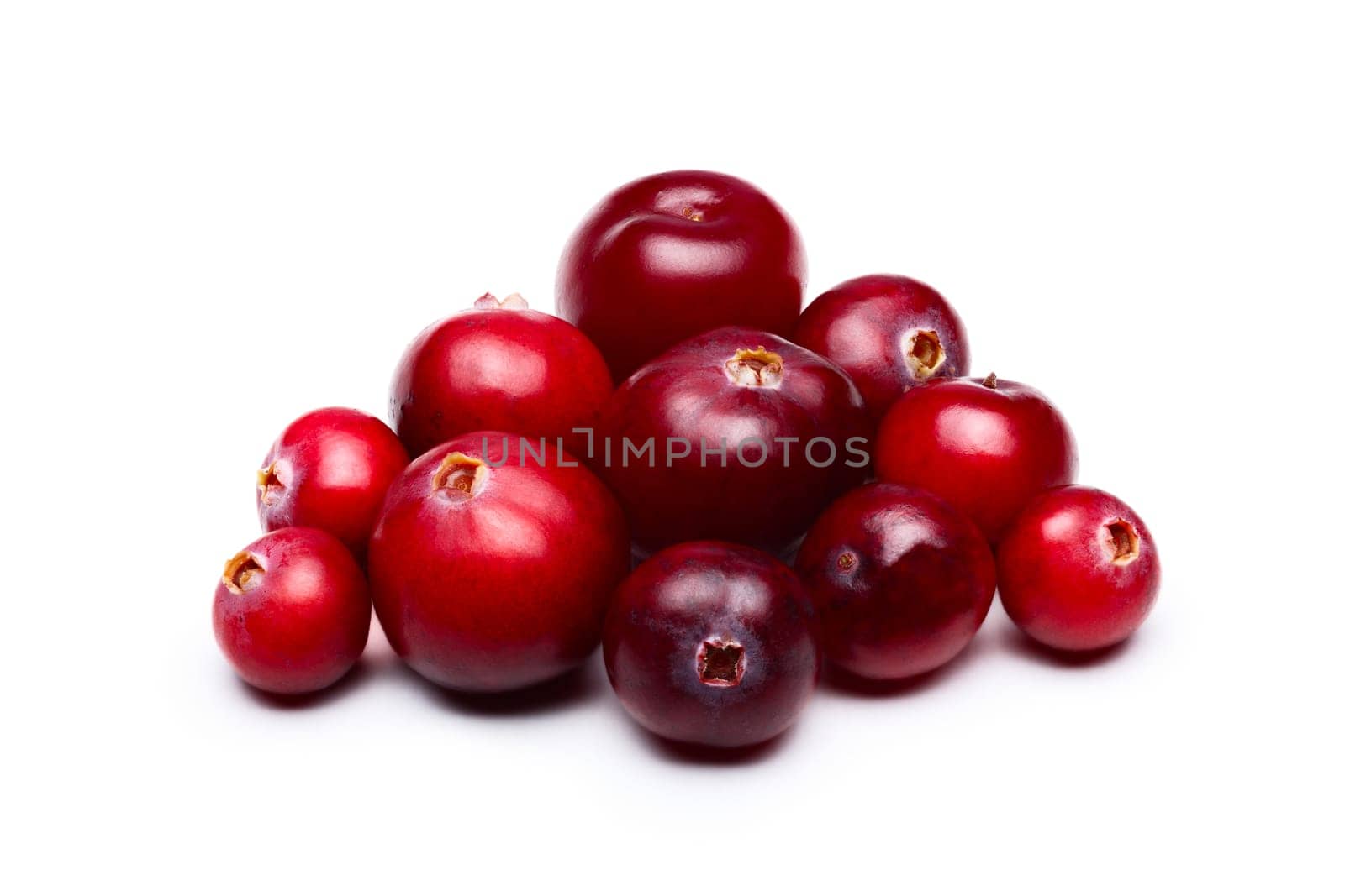 Wild cranberries isolated on white with smooth drop shadow. Studio shot, infinite depth of field, retouched