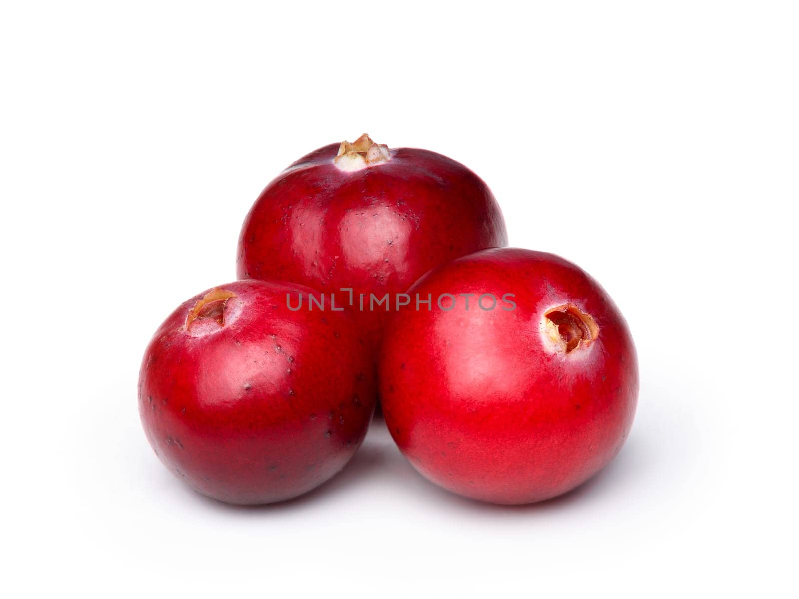 Wild cranberry isolated on white with smooth drop shadow. Studio shot, infinite depth of field, retouched