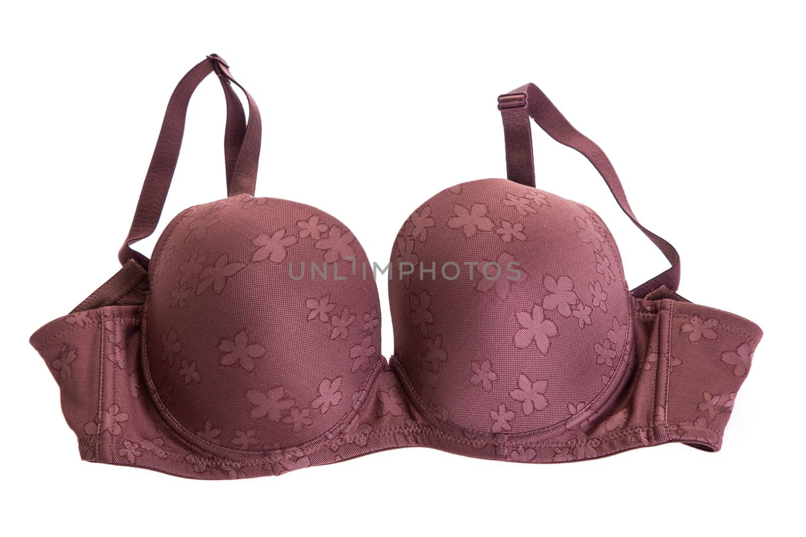Stylish bra  isolated on background
