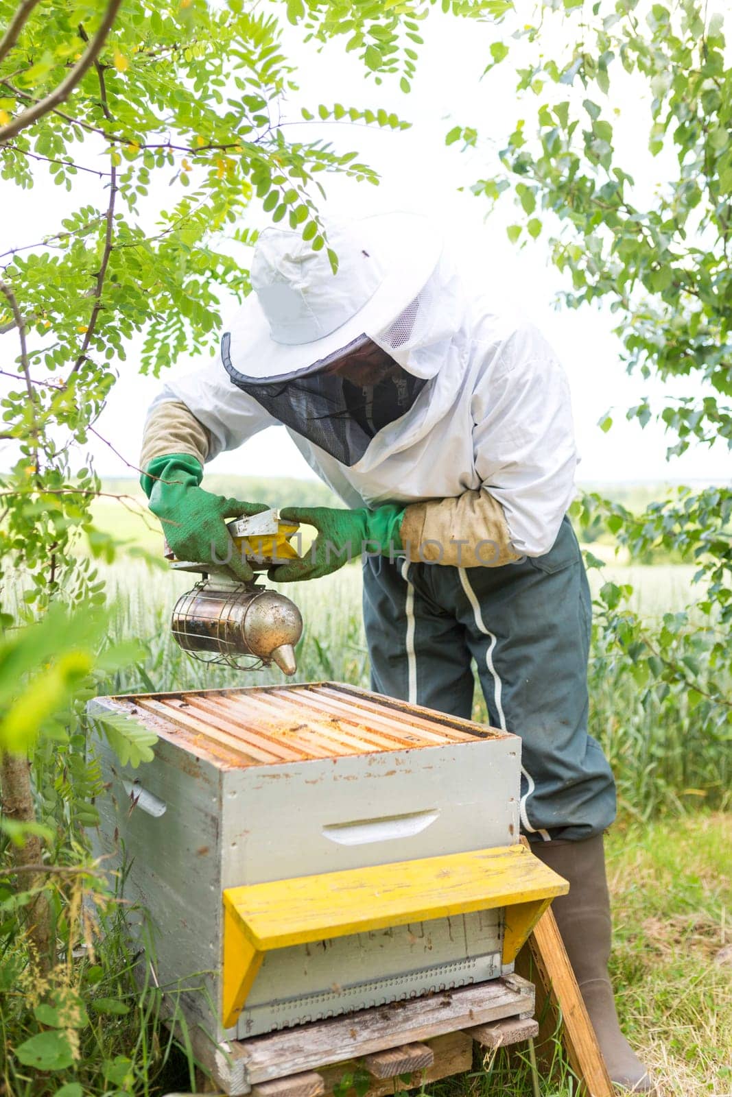 VIew of a Beekeeper working on his beehives in the garden
