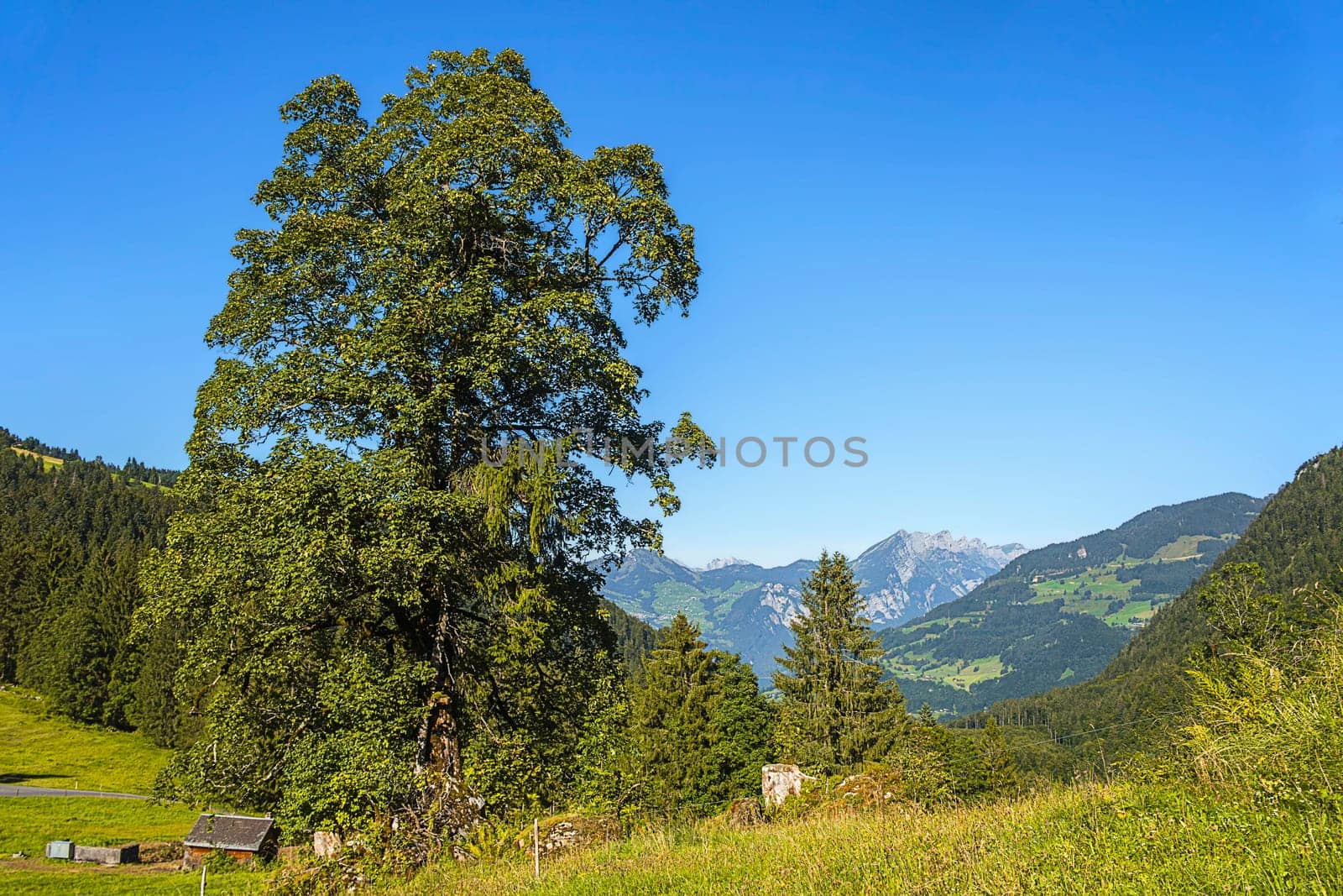 Glarus Uplands