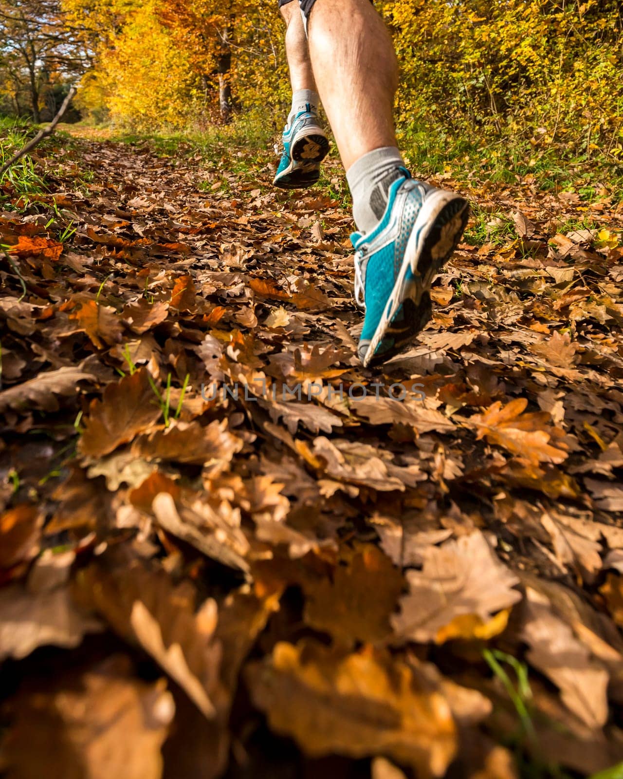 jogger in autumn foliage