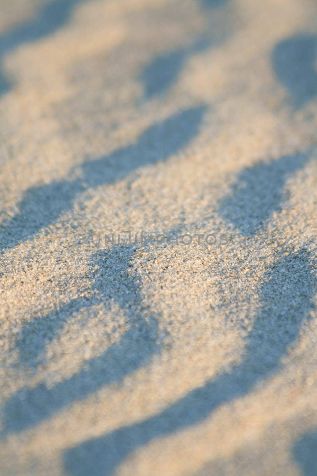 Artistic sand drawings of nature