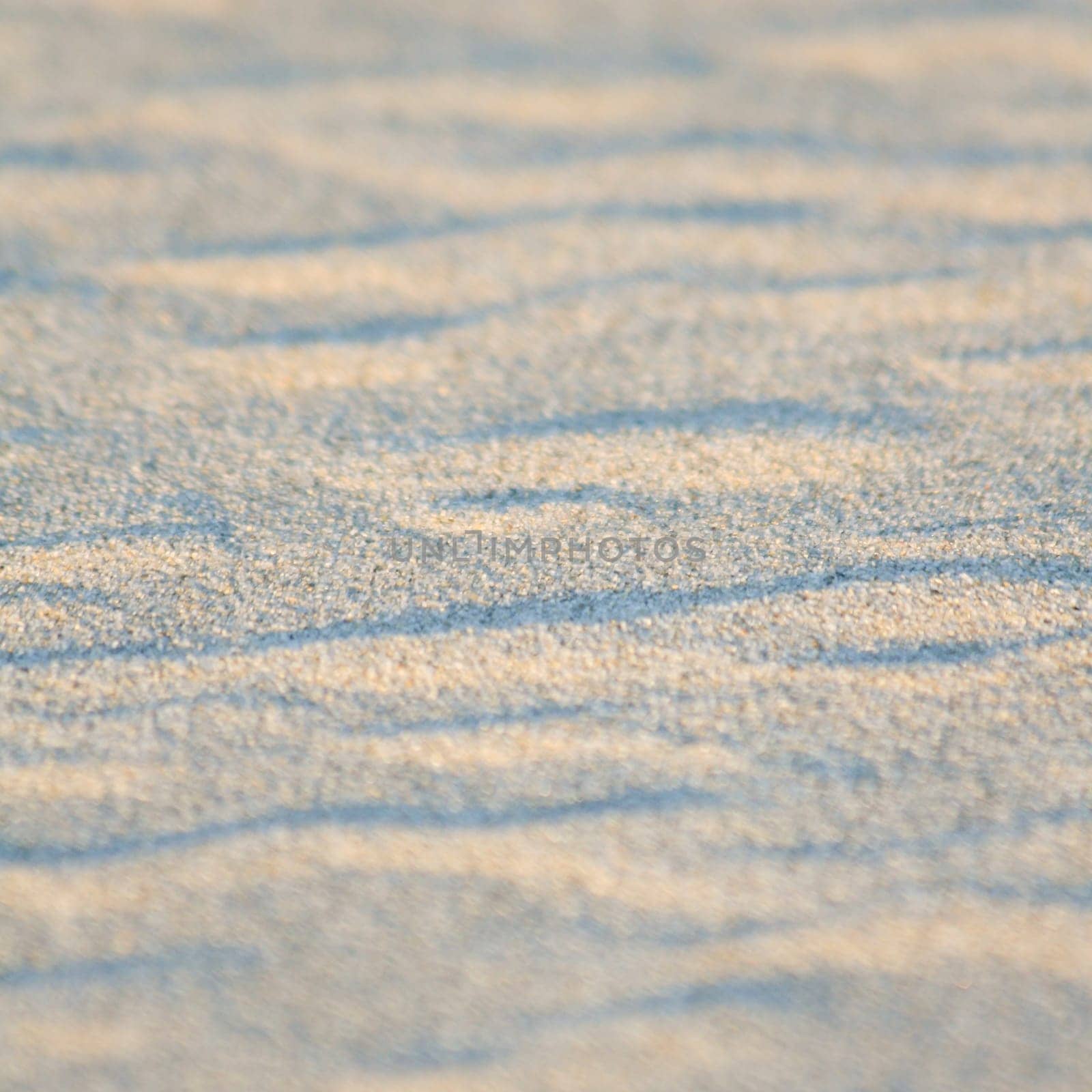 Artistic sand drawings of nature