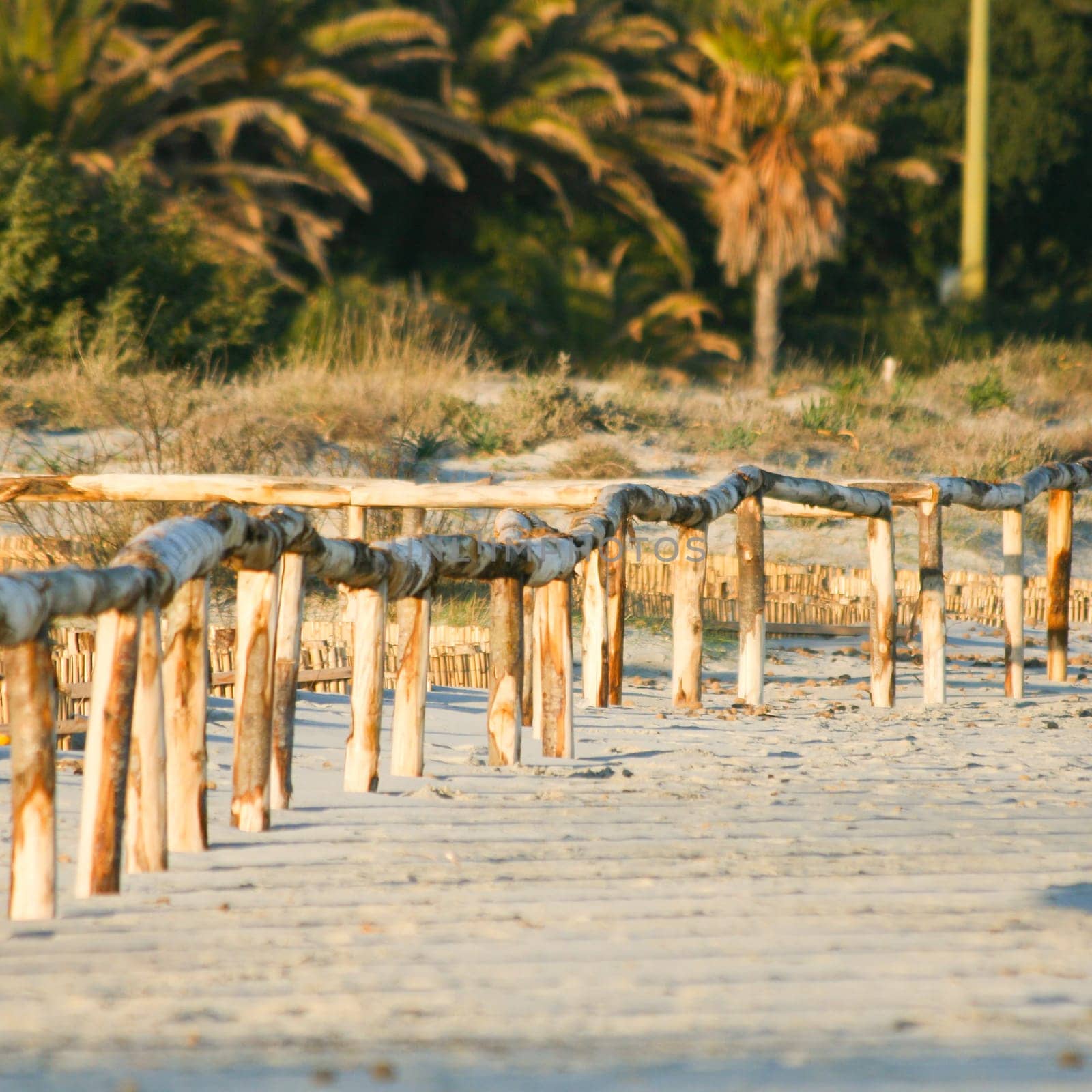 Artistic Sunrise Fence on the beach