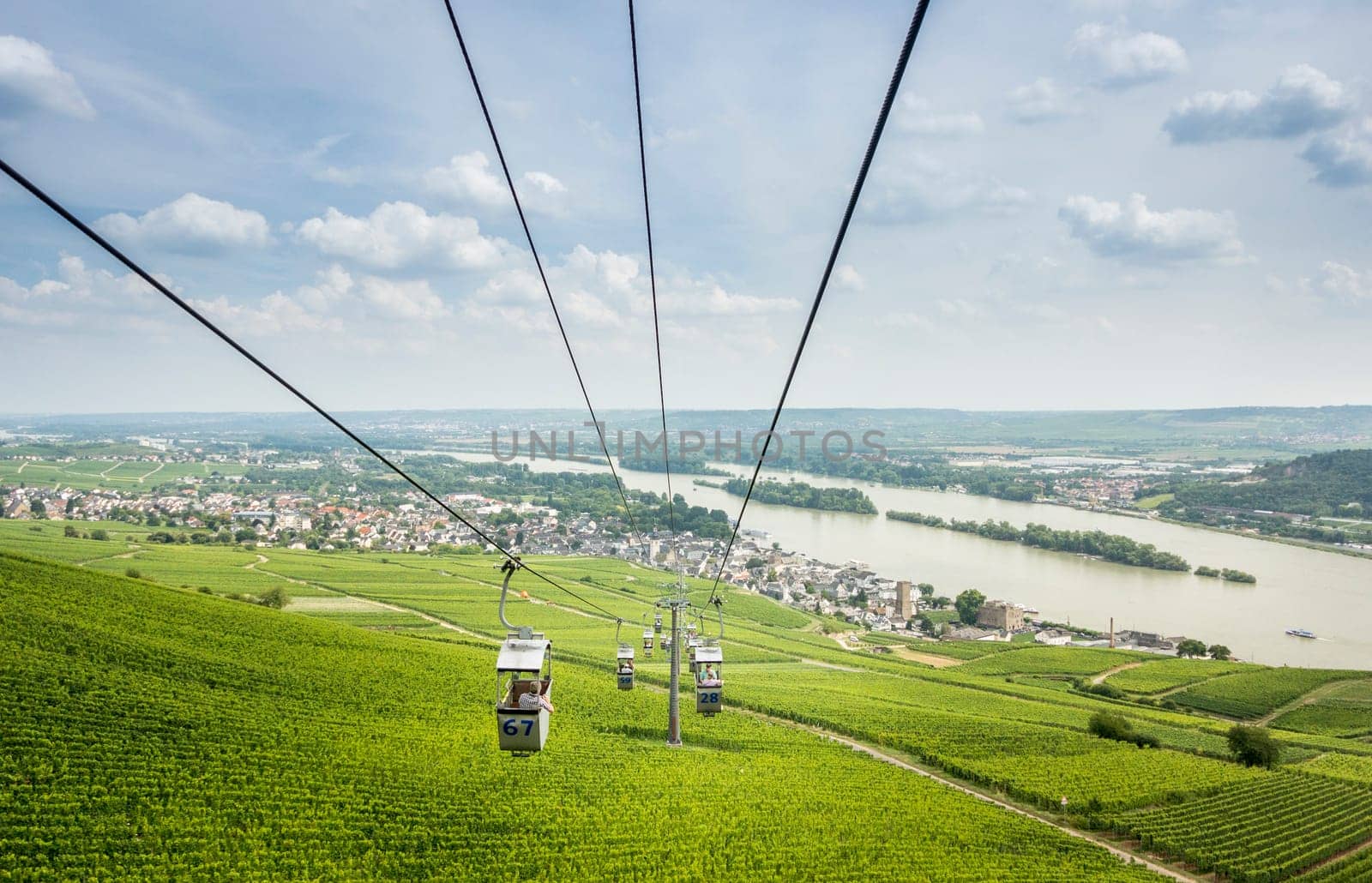 View of the river Rhine and Rudesheim with cable cars in the foreground passing over vineyards