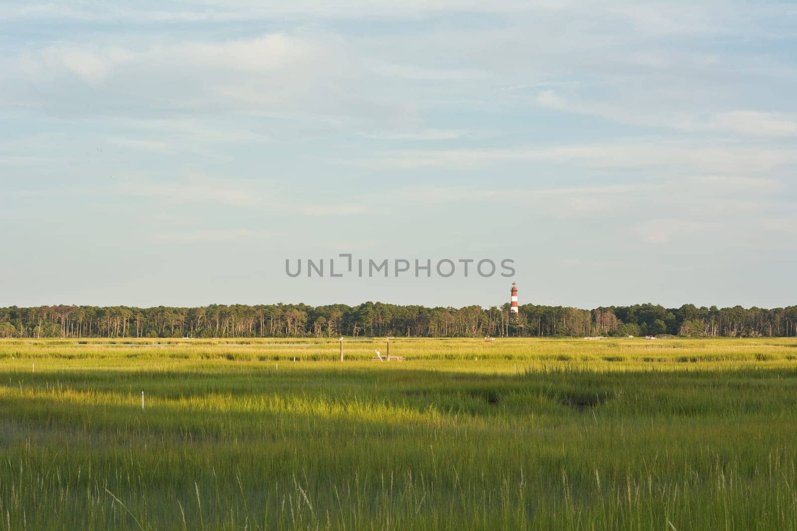 Wetland Conservation with Lighthouse at the Virginia National Seashore