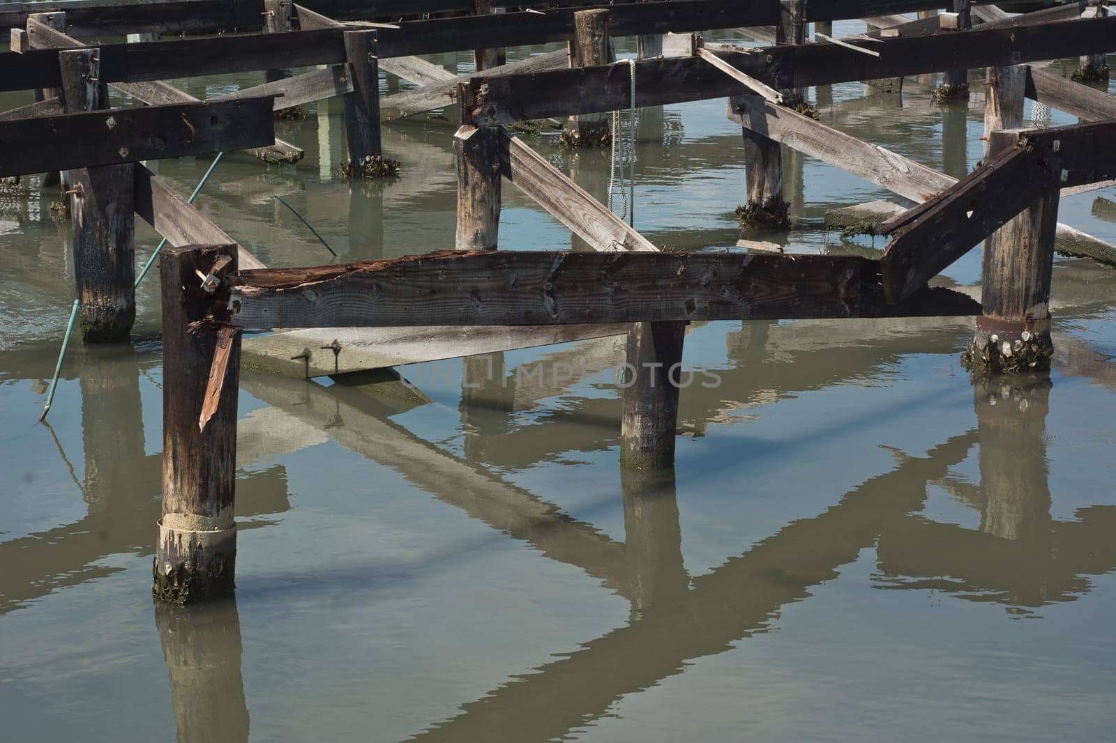 Old Wharf with Decaying Pilings at a Coastal Harbor