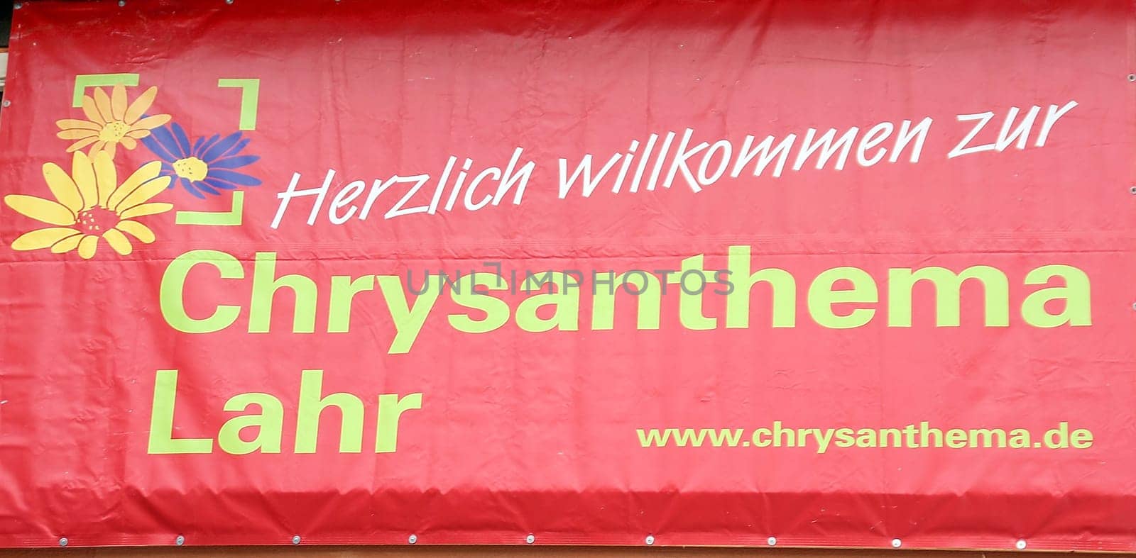The chrysanthemum in Lahr has been around since 1997. Every autumn,the city centre of Lahr shines in colourful colours. Visitors from Germany and abroad,old and young will get their money's worth when visiting the Chrysanthema. And it is worth taking a souvenir from the chrysanthemum with you: liqueur,beer,soap,oil from chrysanthemums can be purchased there.