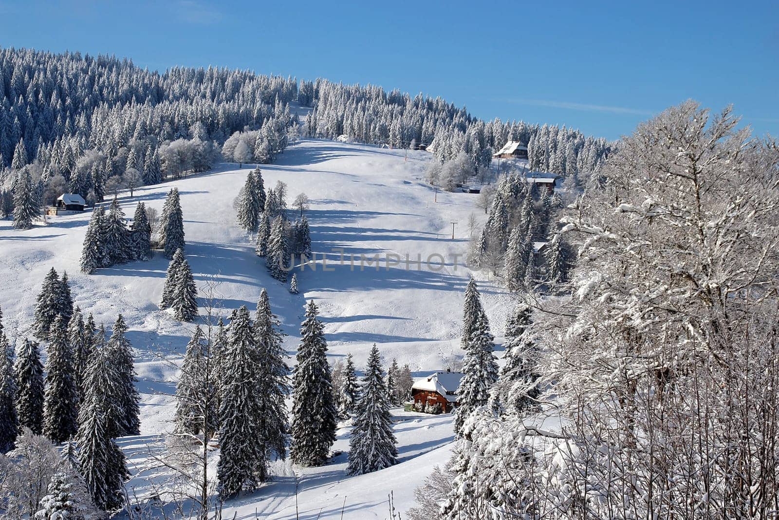 Winter landscape on the Feldberg,sugared by frost and snow