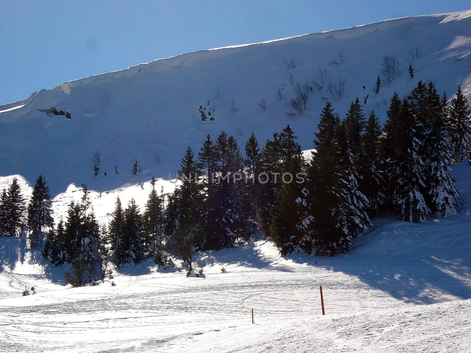 Ski hiking,tobogganing,snow school trips or out with touring skis into the open air - at the turn of the month February/March winter shows its best side with a lot of snow and sun in the Black Forest.