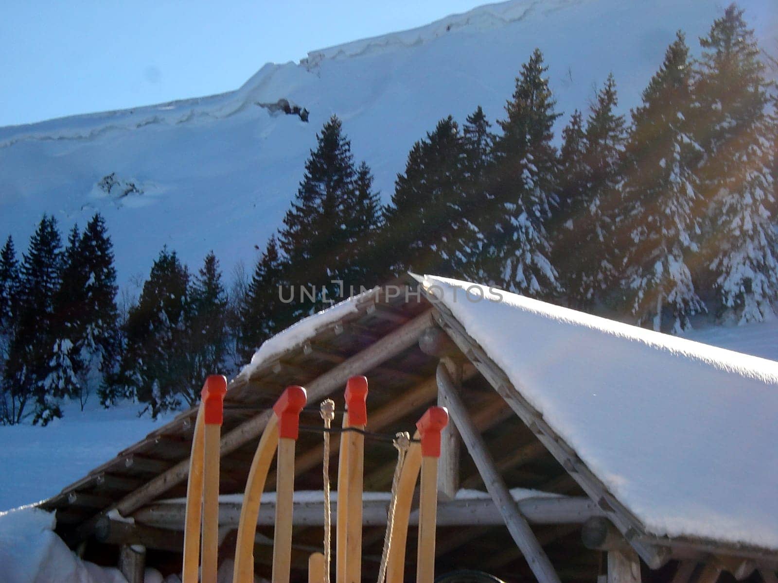 Ski hiking,tobogganing,snow school trips or out with touring skis into the open air - at the turn of the month February/March winter shows its best side with a lot of snow and sun in the Black Forest.