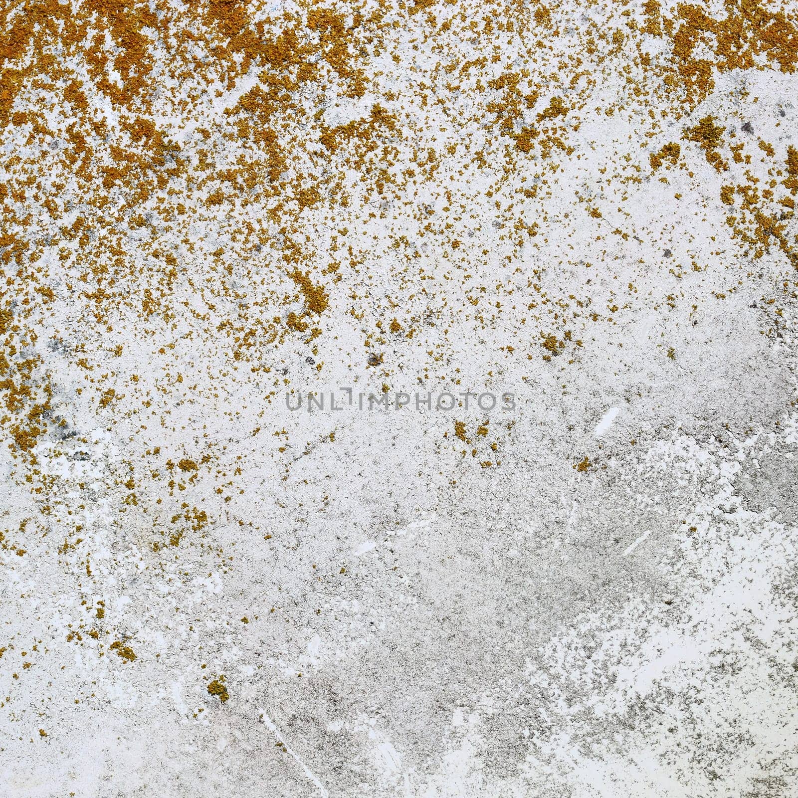 Old boat white hull background texture