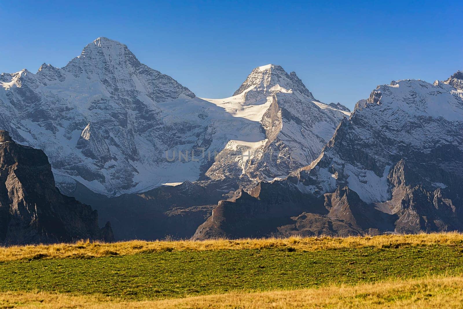 Male Berstation View Against the Breithorn