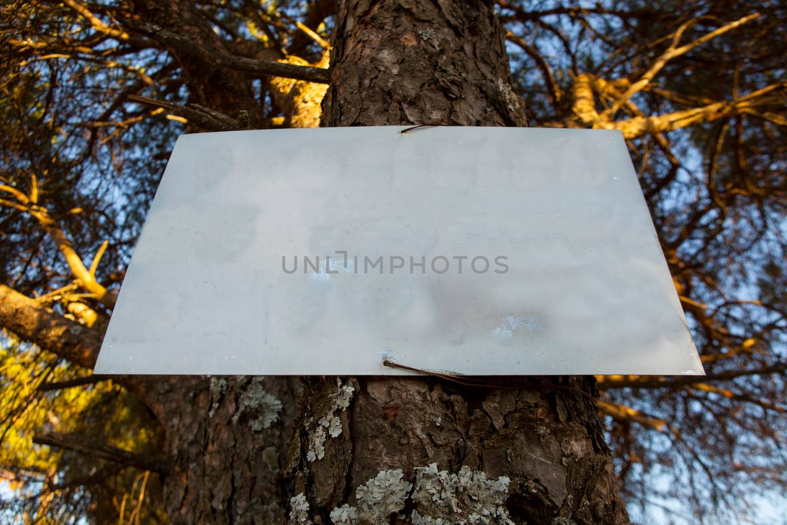 Pinned old metal weather-beaten sign in the woods