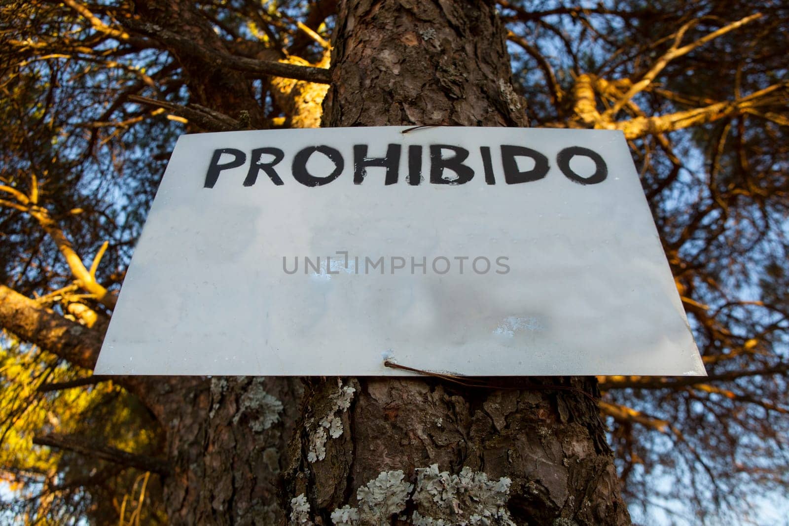 Pinned old metal weather-beaten sign in the woods. You can read the word forbidden on the sign in spanish