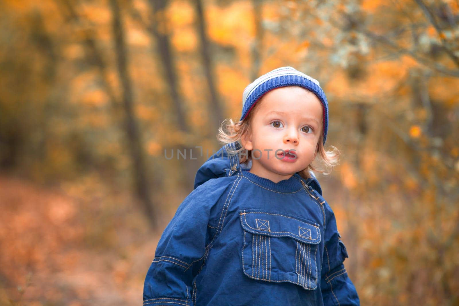The portrait of a 1 and a half year old baby boy enjoying the outdoors in autumn.