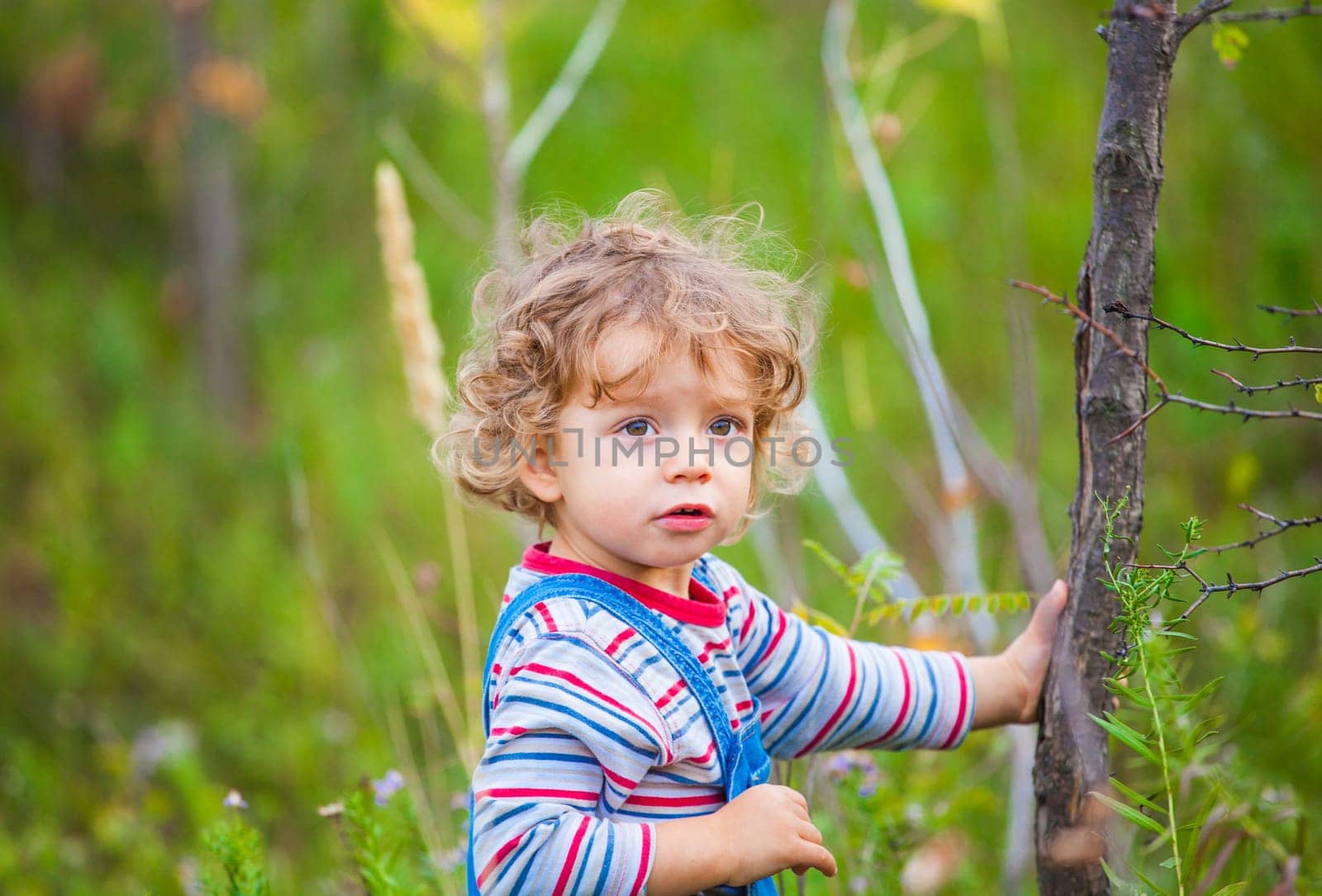 The portrait of a 1 and a half year old baby boy enjoying the outdoors in autumn.