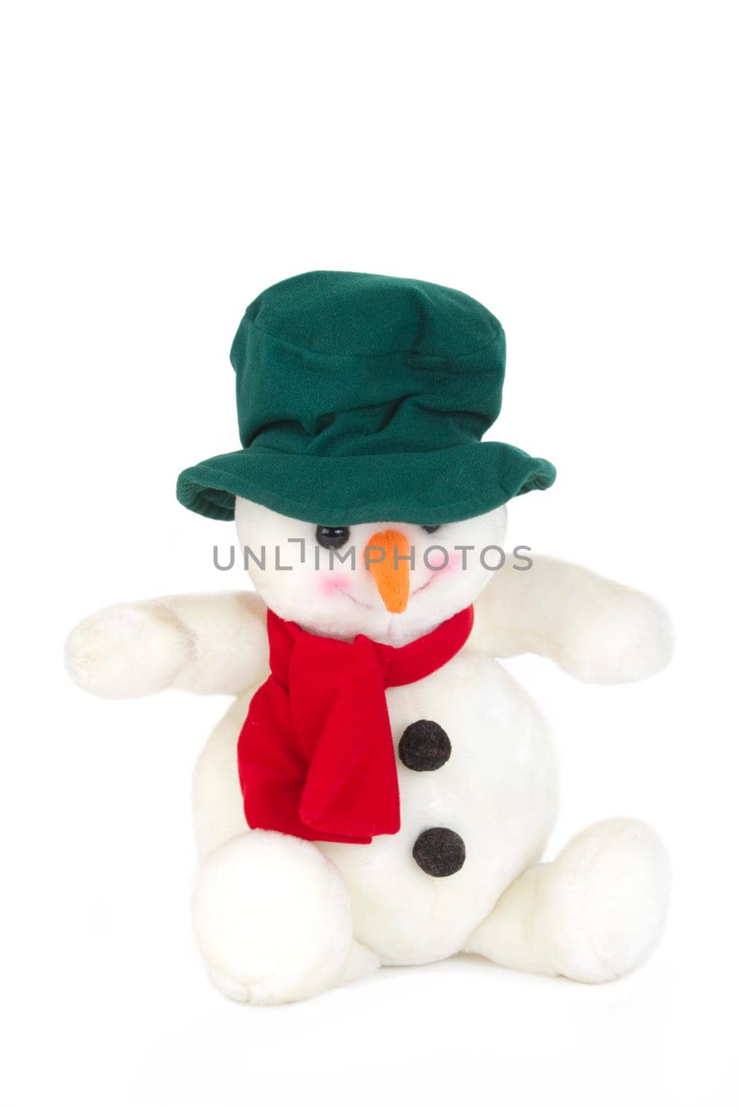 Stuffed toy exempted on white background