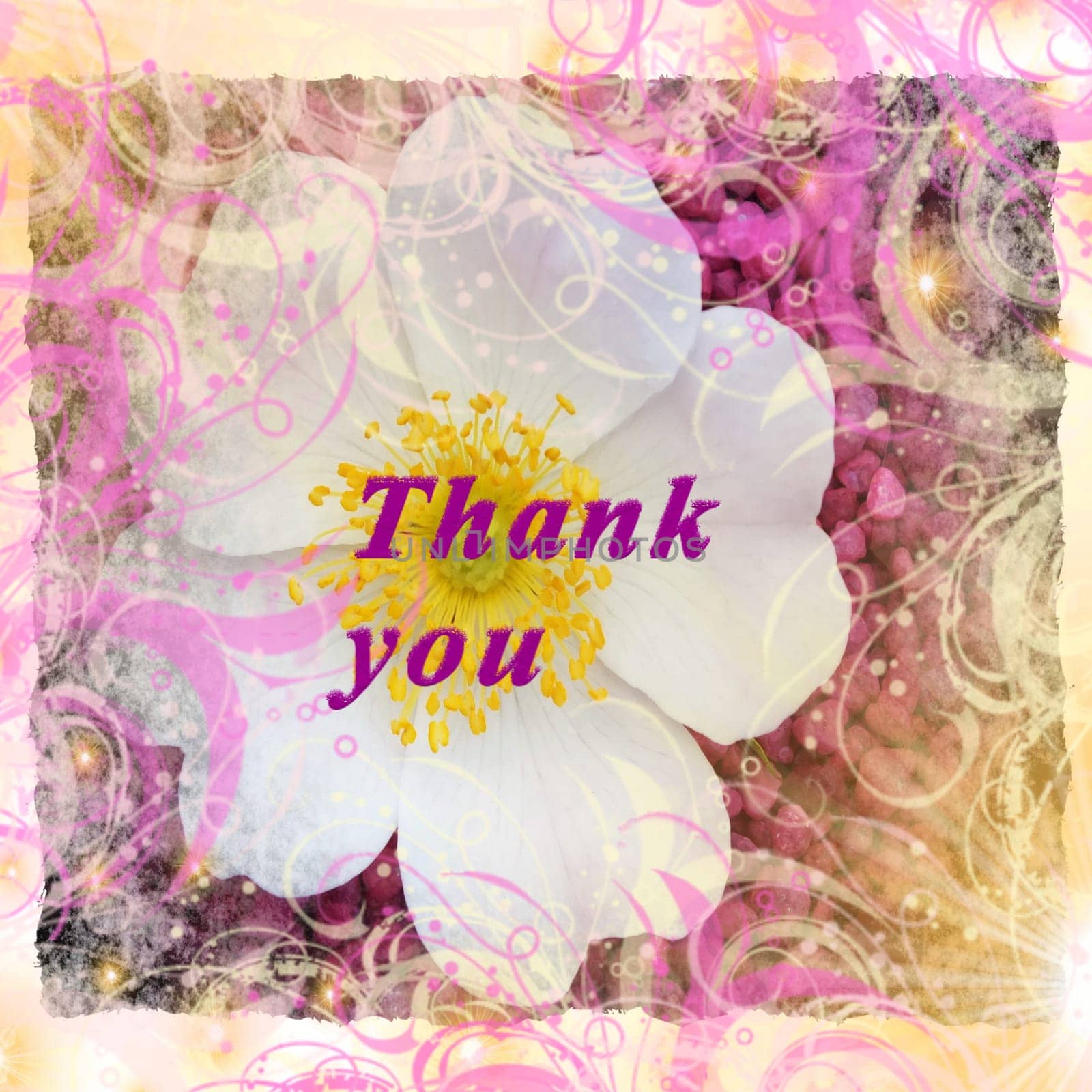 Thank you written in letters on a floral background