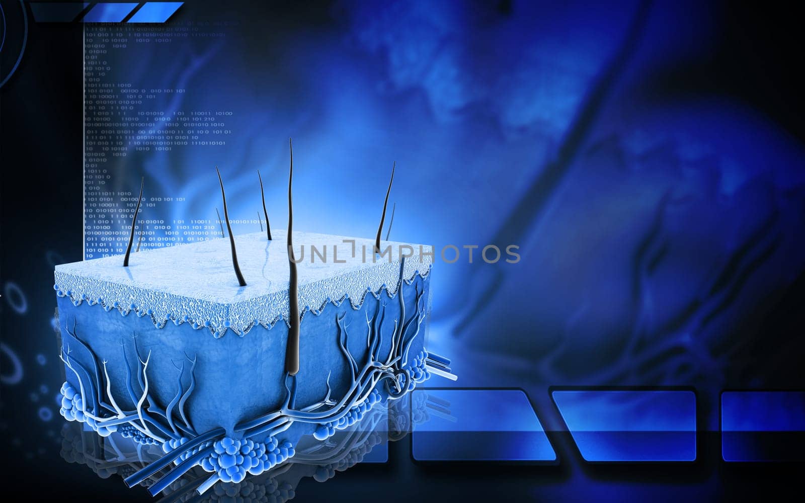 Digital illustration of Skin in colour background