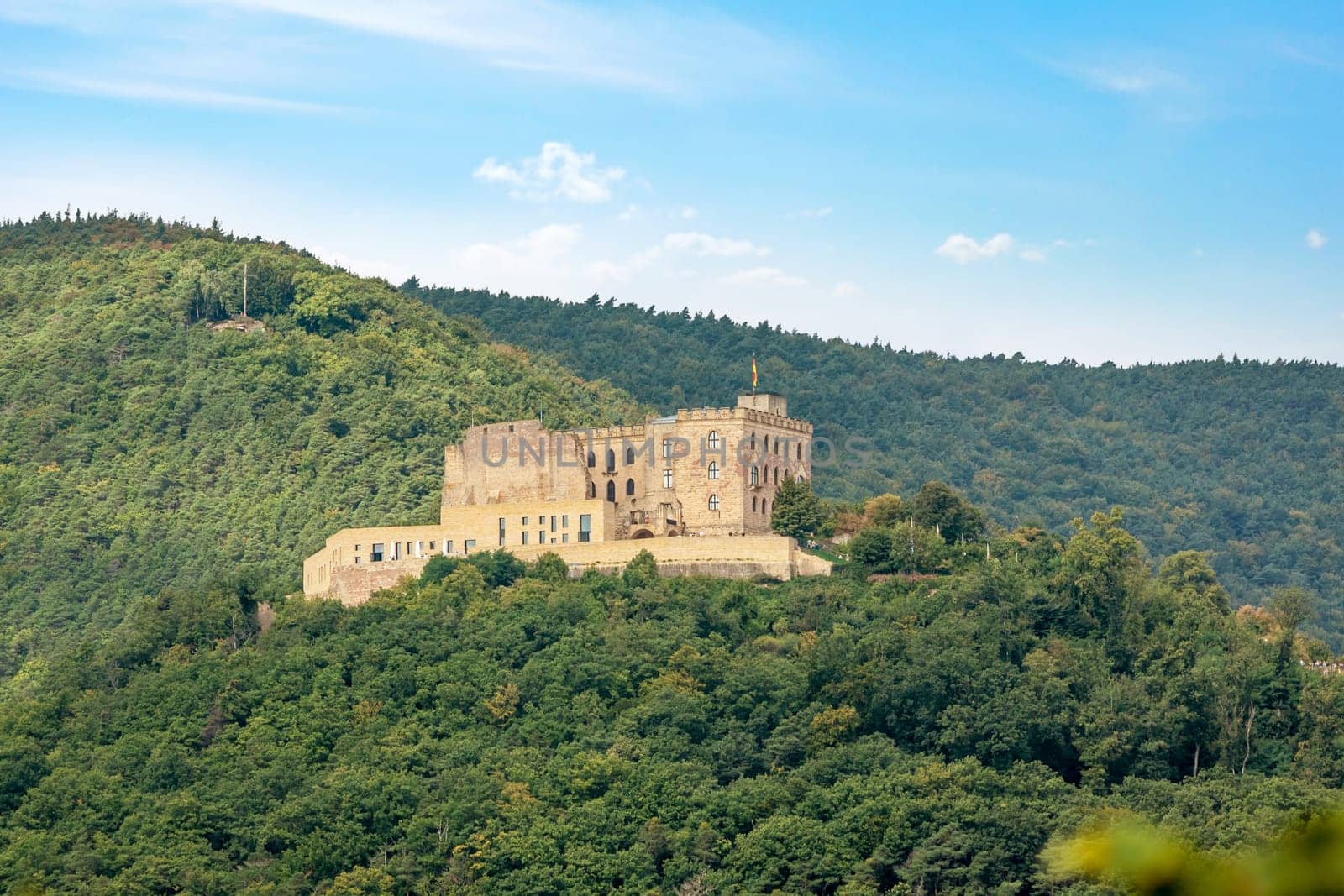 Castle Hambacher Schloss surrounded by forest