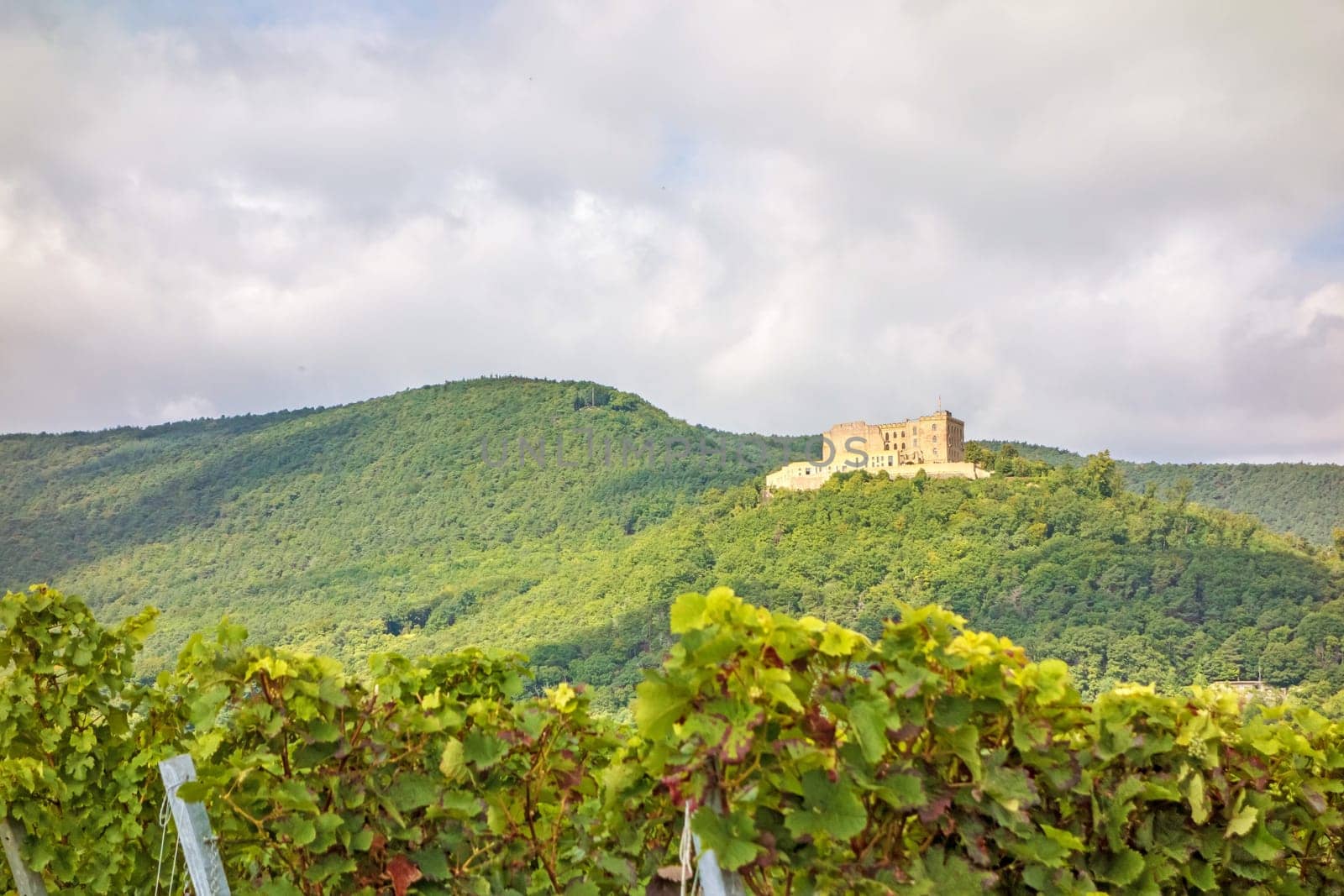 Castle Hambacher Schloss, near city Neustadt an der Weinstrasse, Germany