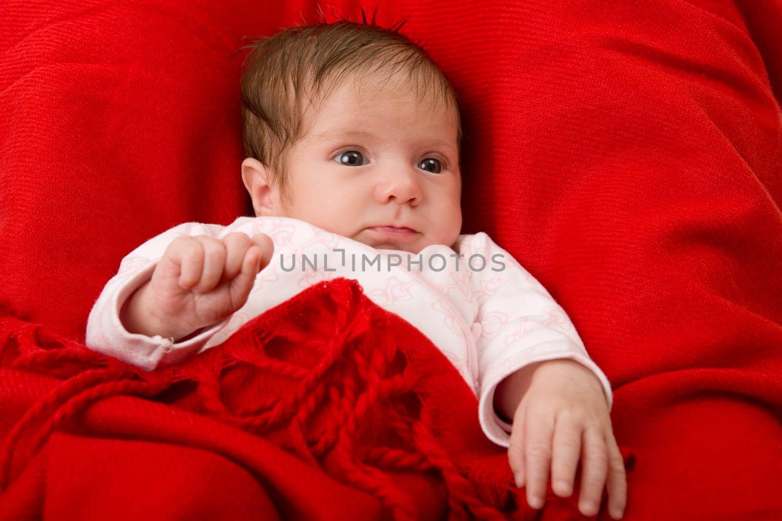 young baby portrait, studio picture