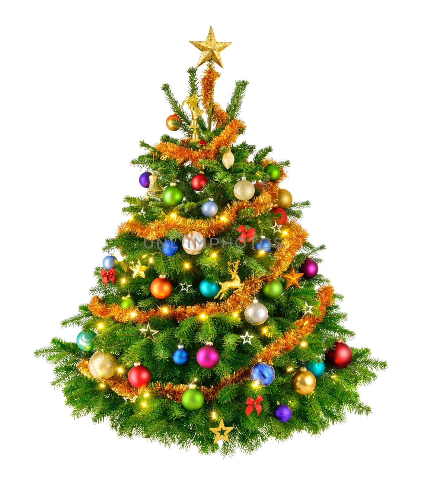 Joyful studio shot of an elegant natural Christmas tree with colorful ornaments,isolated on white