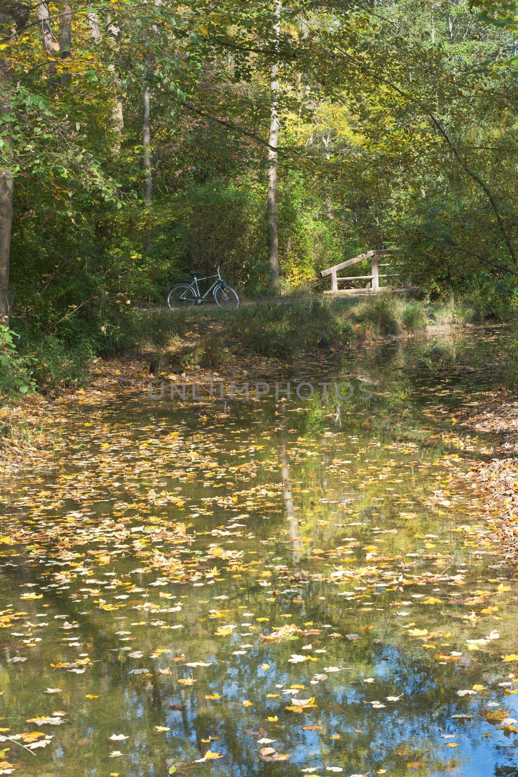 Bike Trip Among Autumn Colors as Recreational Pursuit