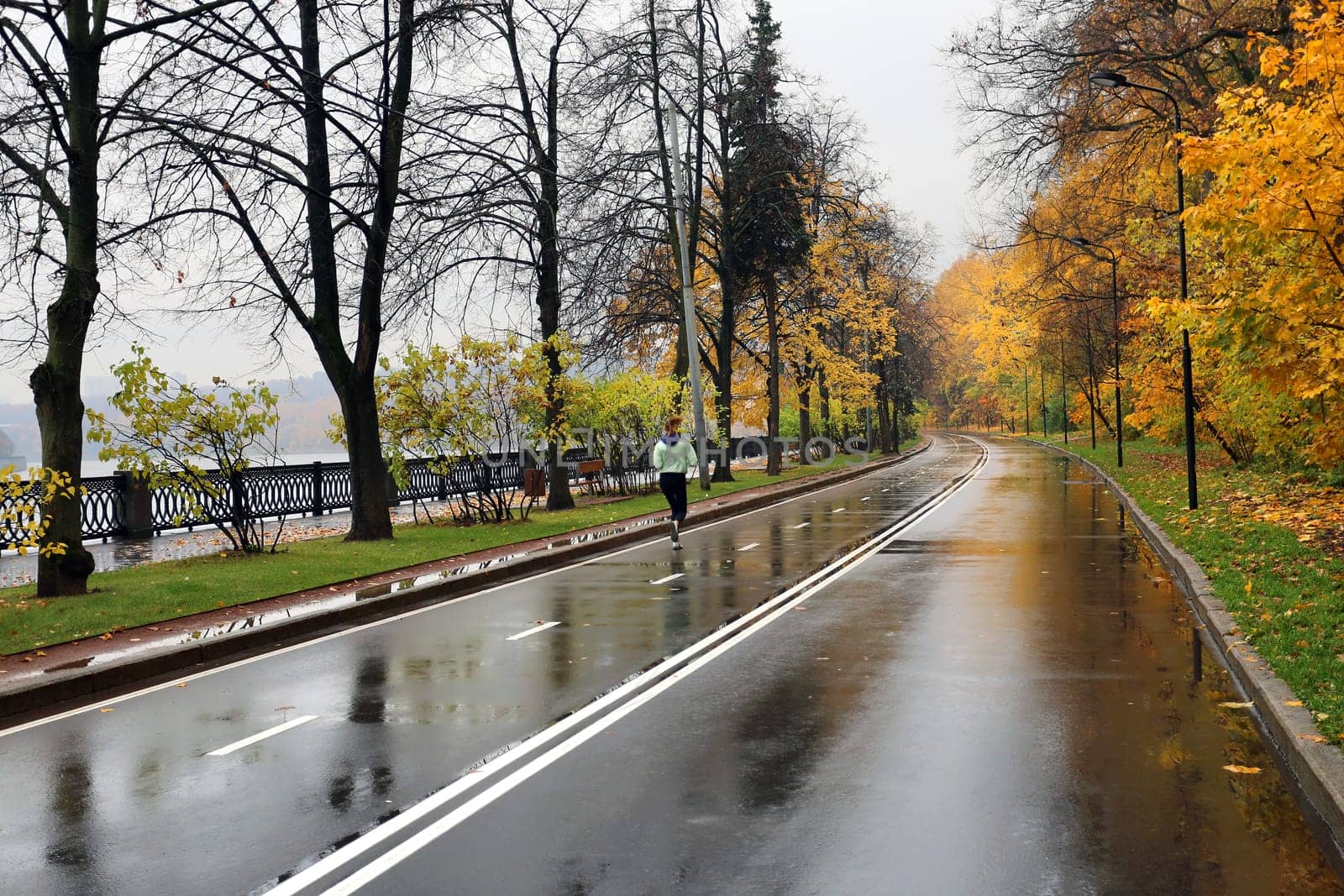 Girl walking on the wet road among an autumn forest covered with yellow leaves