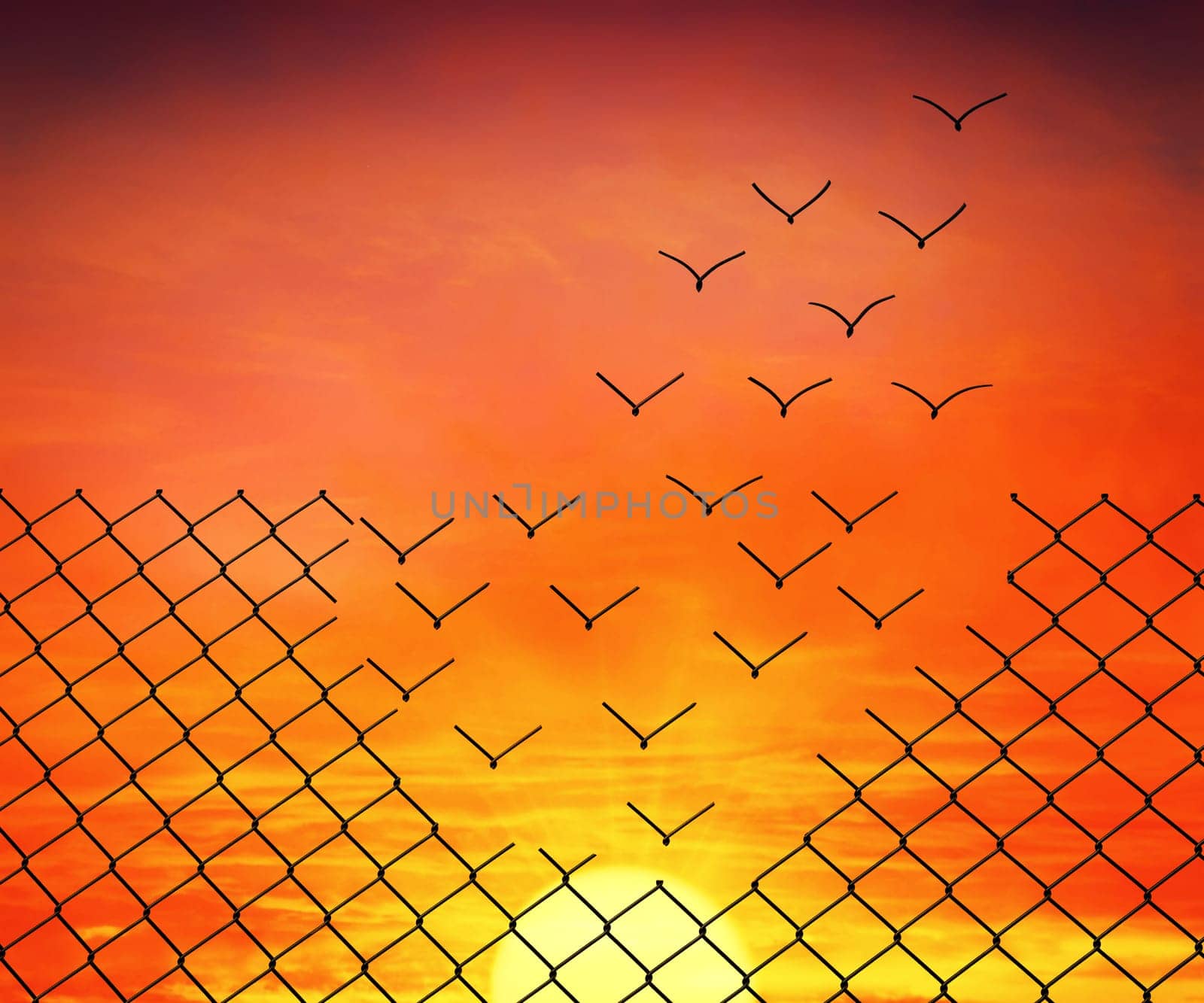 Metallic wire mesh transform into flying birds on sunset sky background
