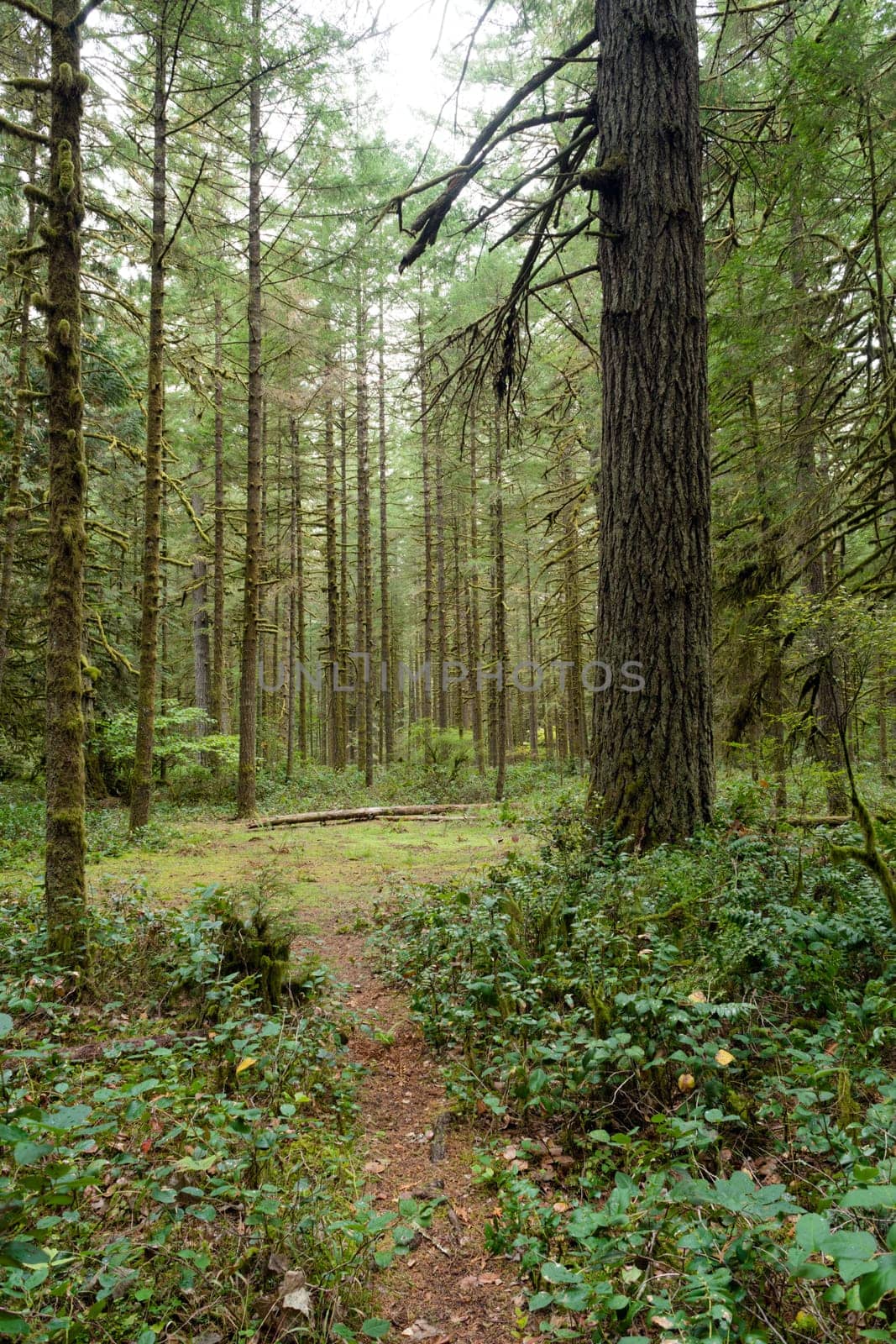 Here a trail leads off from the campround