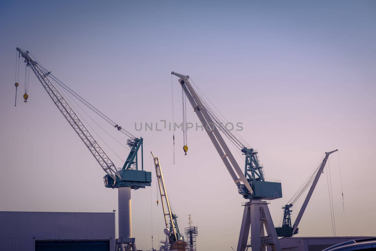 Cranes at a shipping harbor in the morning