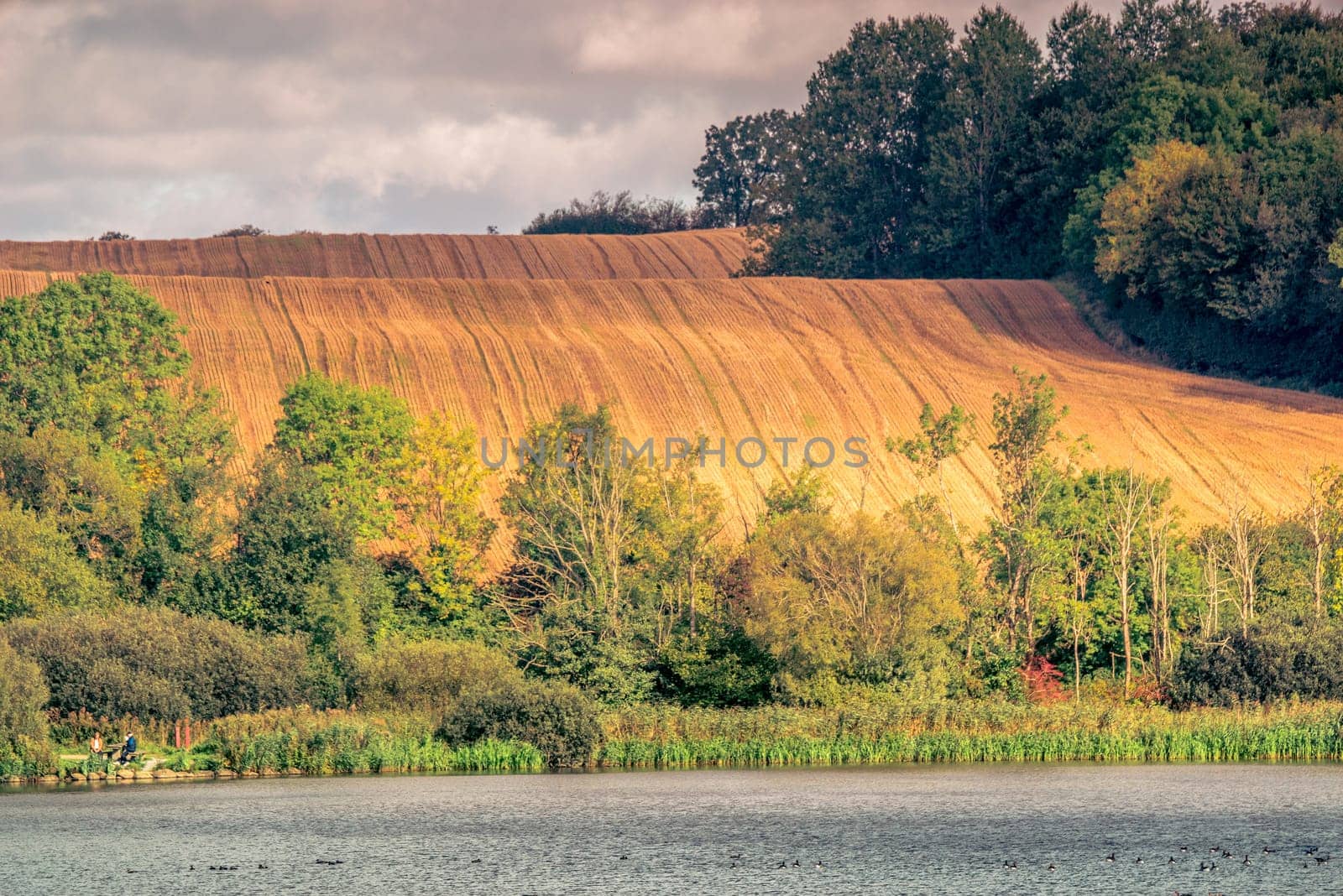 Agricultural hillside fields above a lake in the summer