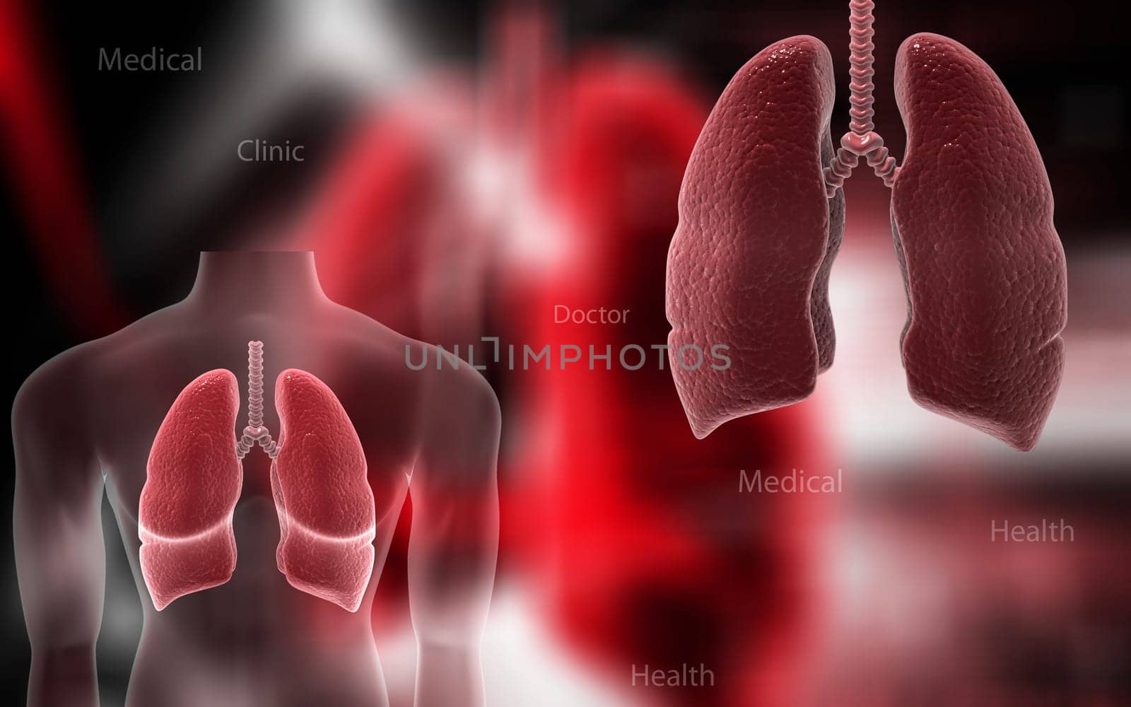 Digital illustration of human lungs in colour background