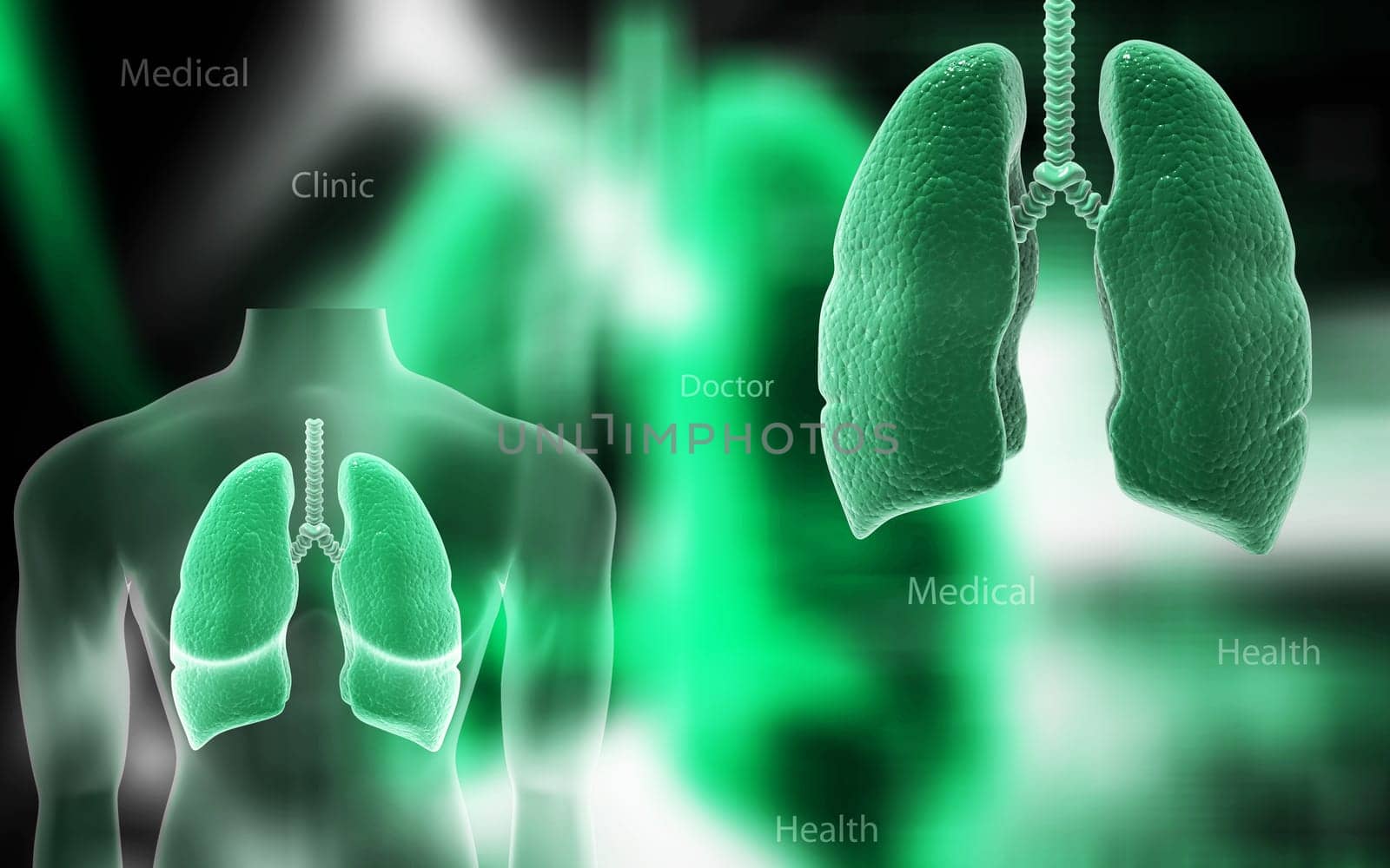 Digital illustration of human lungs in colour background