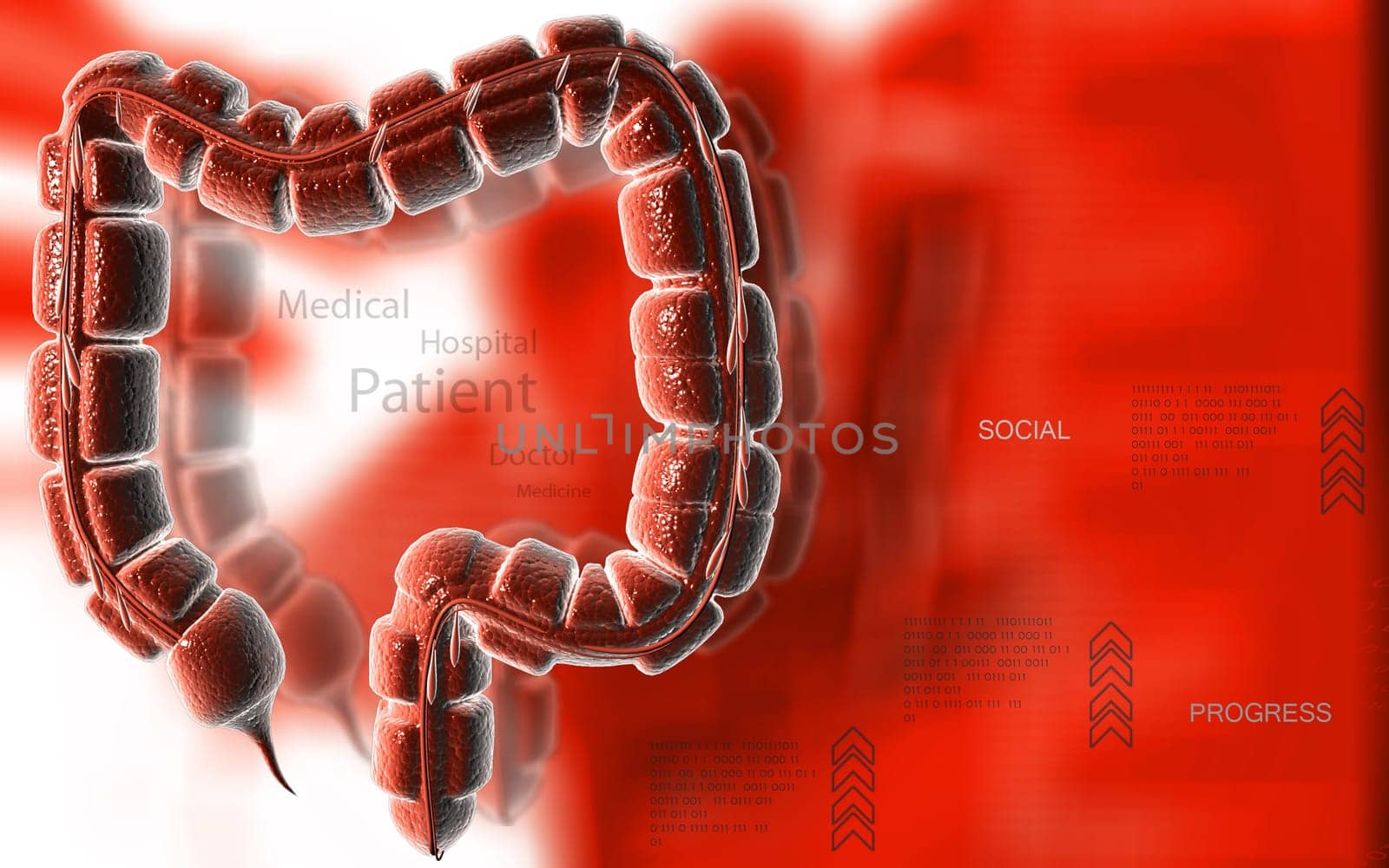 Digital illustration of large intestine in colour background