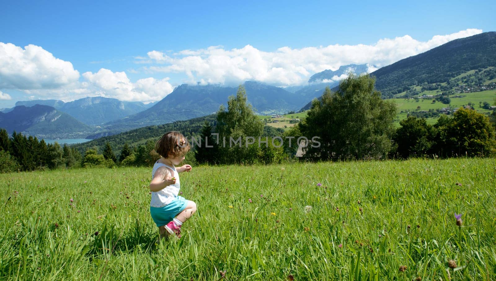 little girl playing in a meadow in the mountains