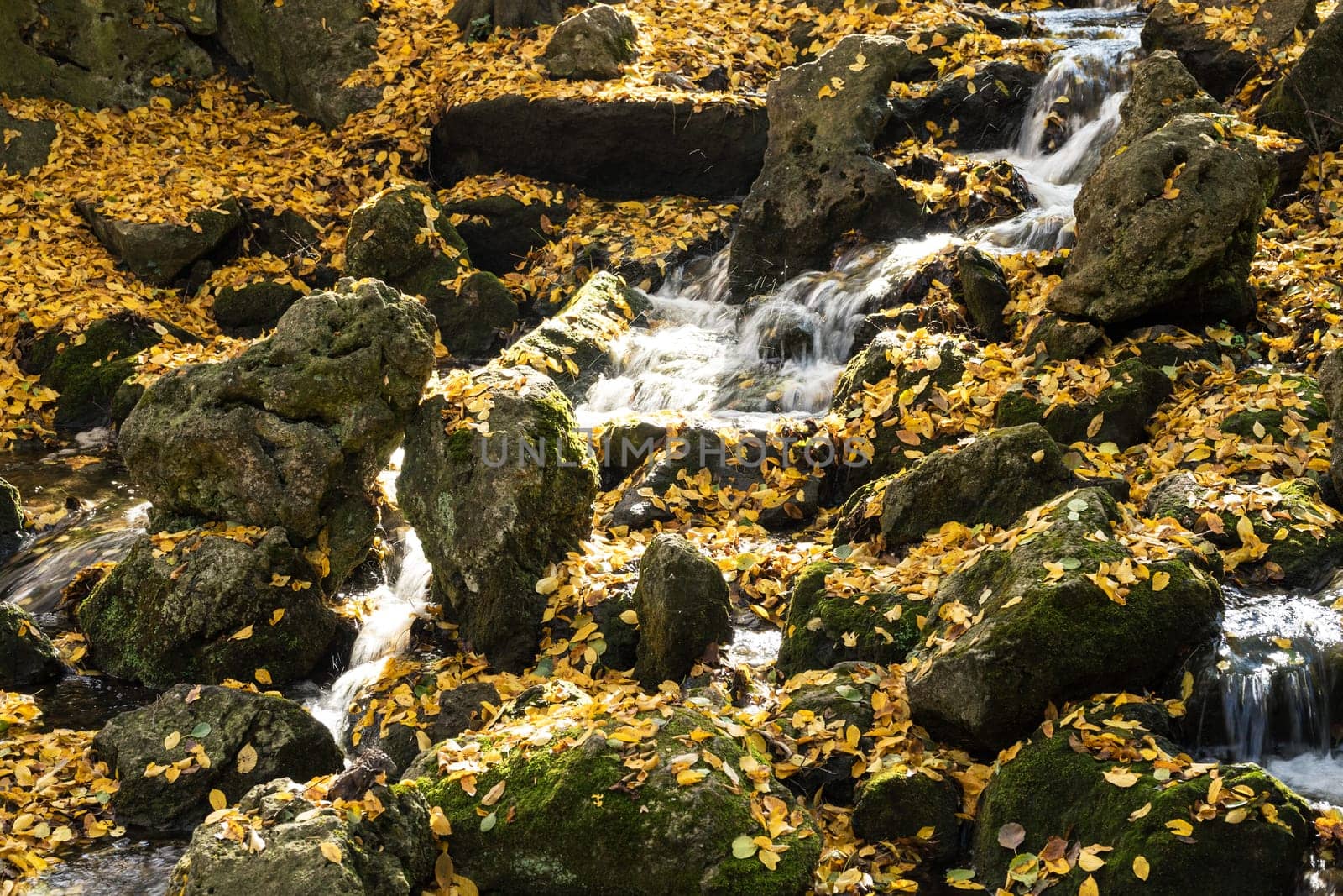 Waterfall in autumn,forest floor with covered foliage